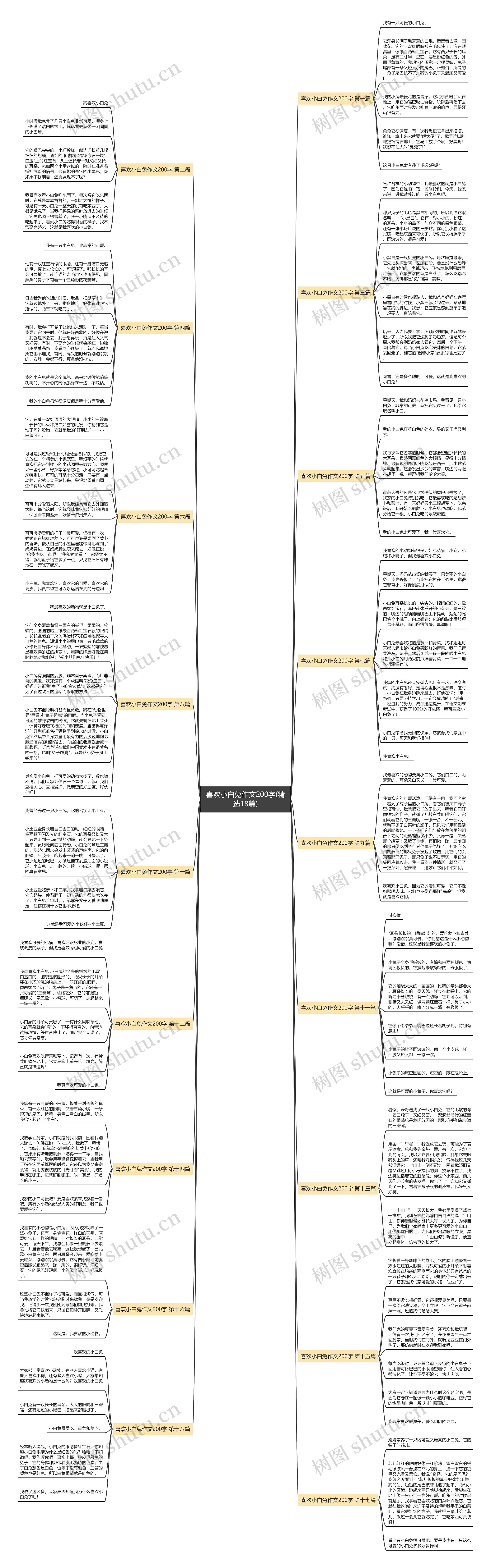 喜欢小白兔作文200字(精选18篇) 喜欢小白兔作文200字(精选18篇)