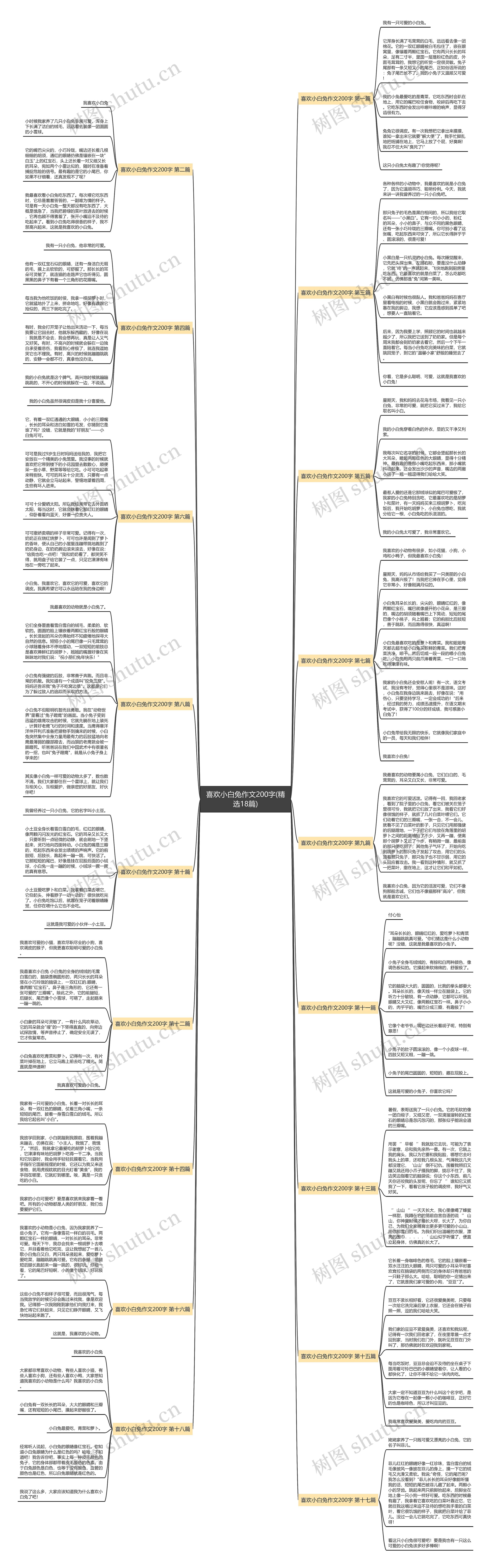 喜欢小白兔作文200字(精选18篇)思维导图