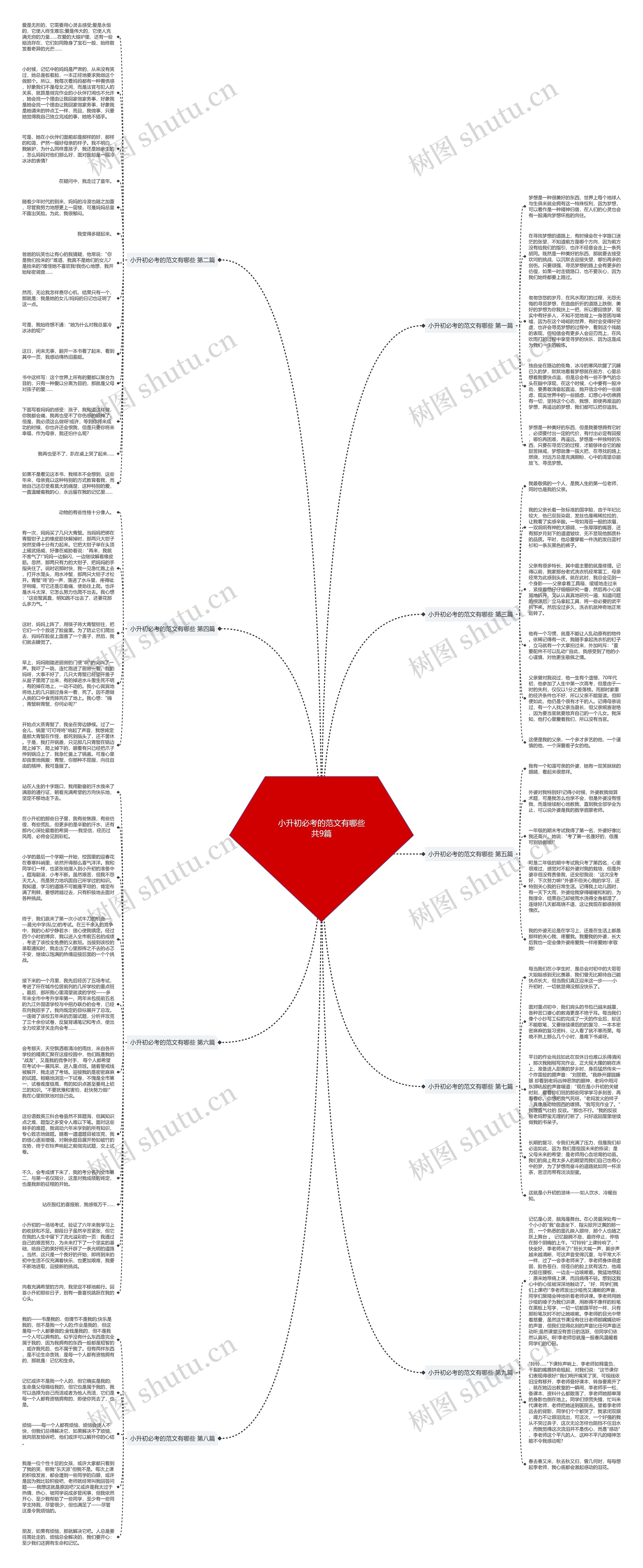 小升初必考的范文有哪些共9篇思维导图