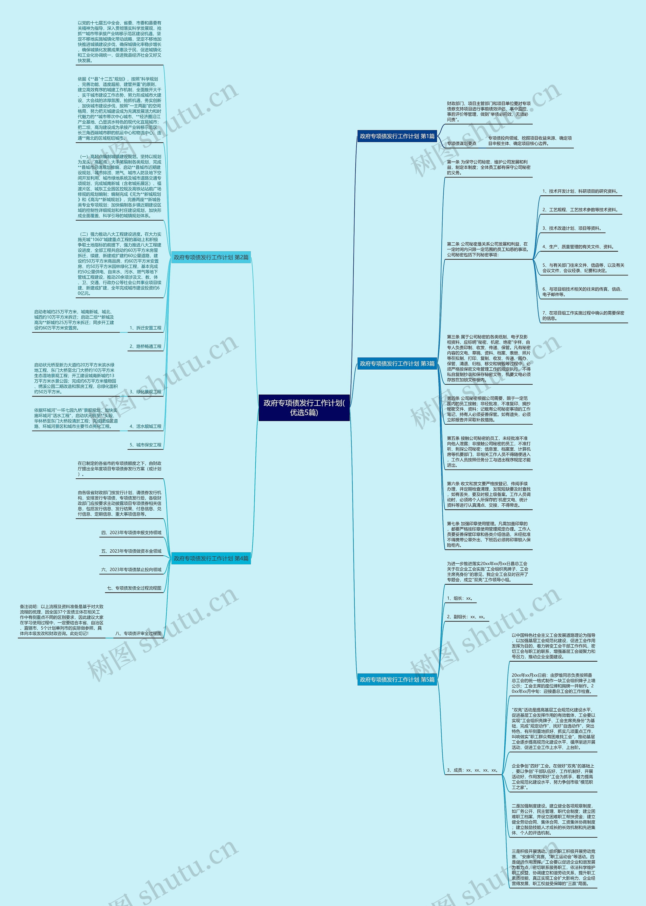 政府专项债发行工作计划(优选5篇)思维导图