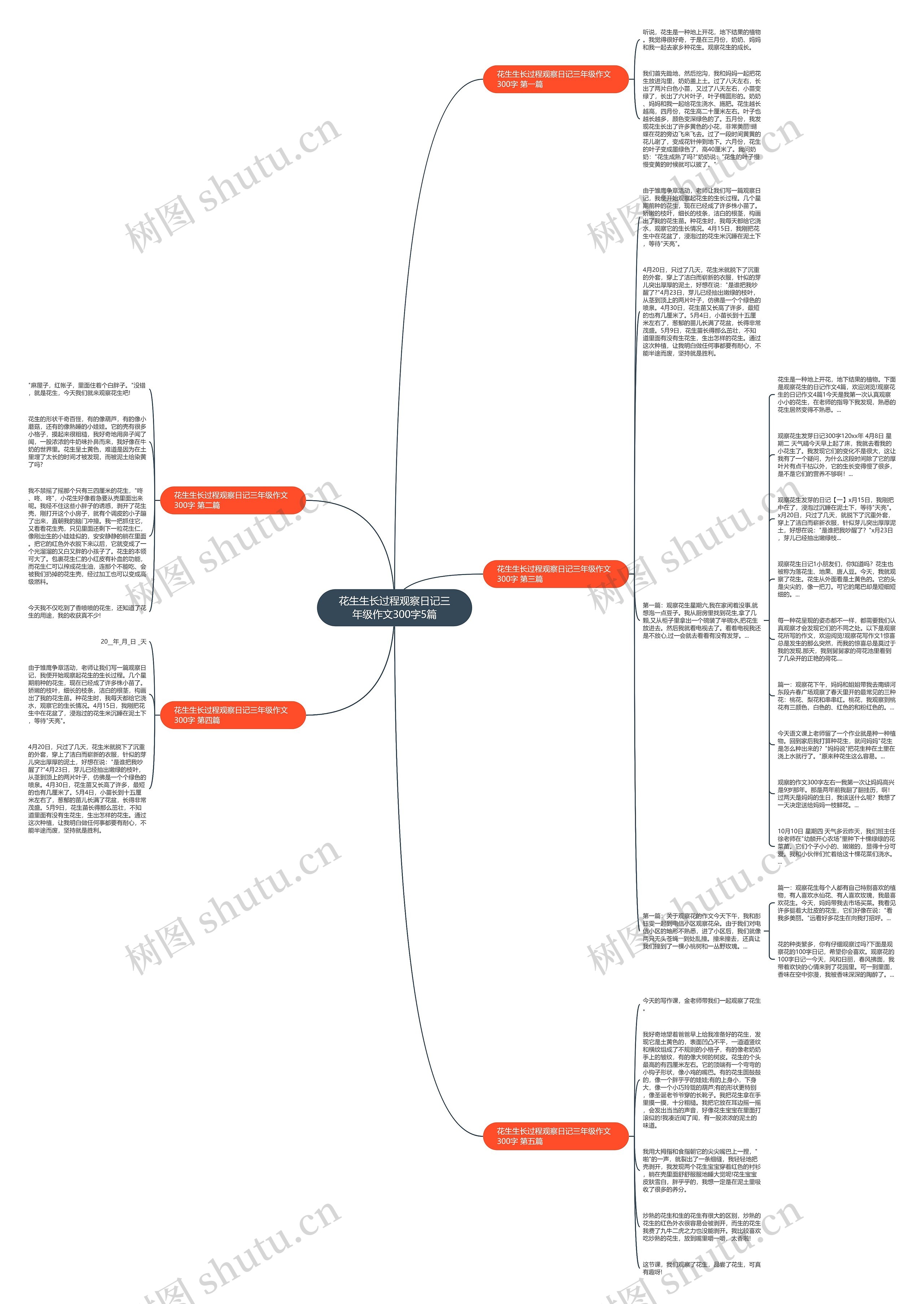 花生生长过程观察日记三年级作文300字5篇思维导图