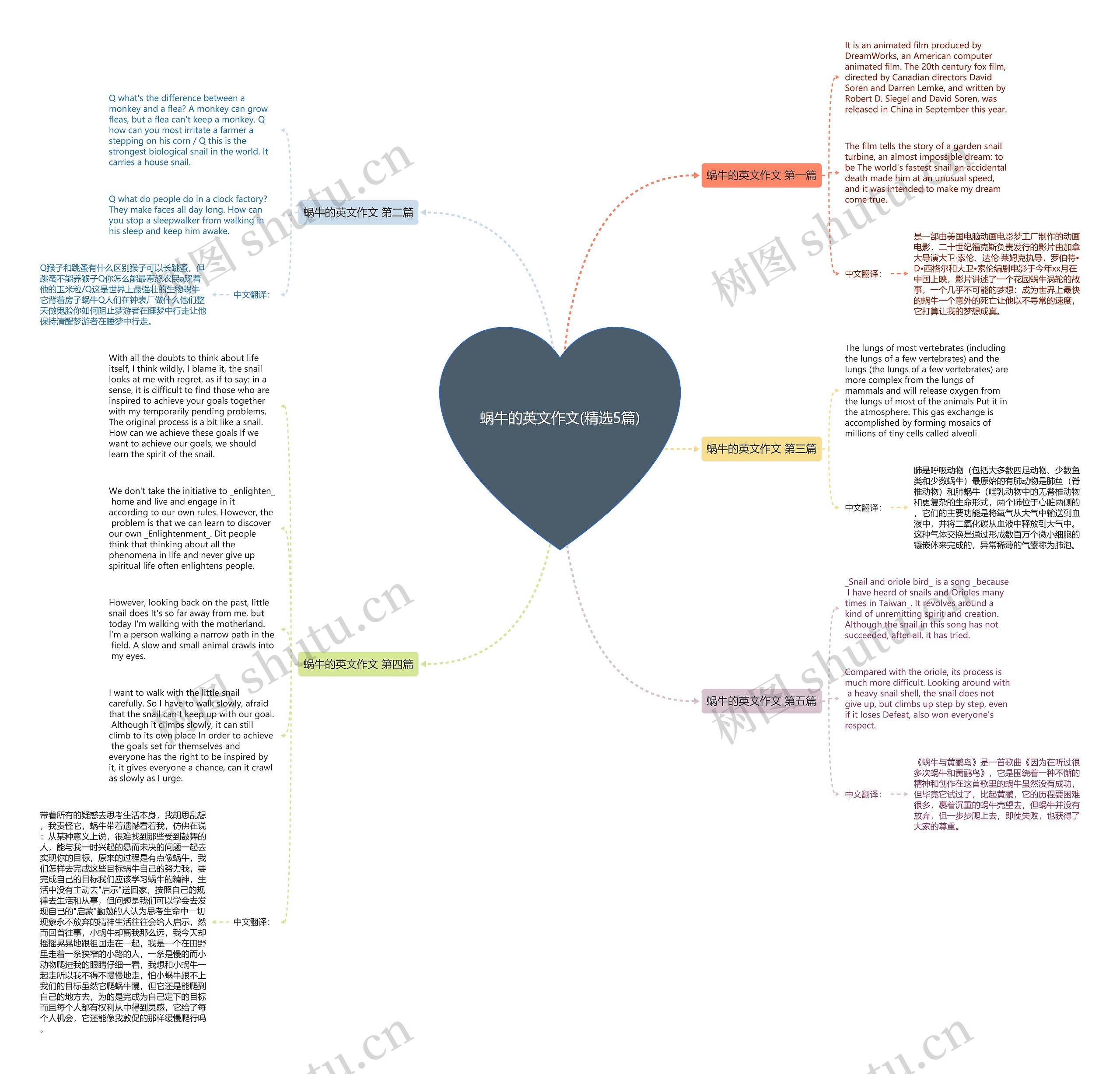 蜗牛的英文作文(精选5篇)思维导图