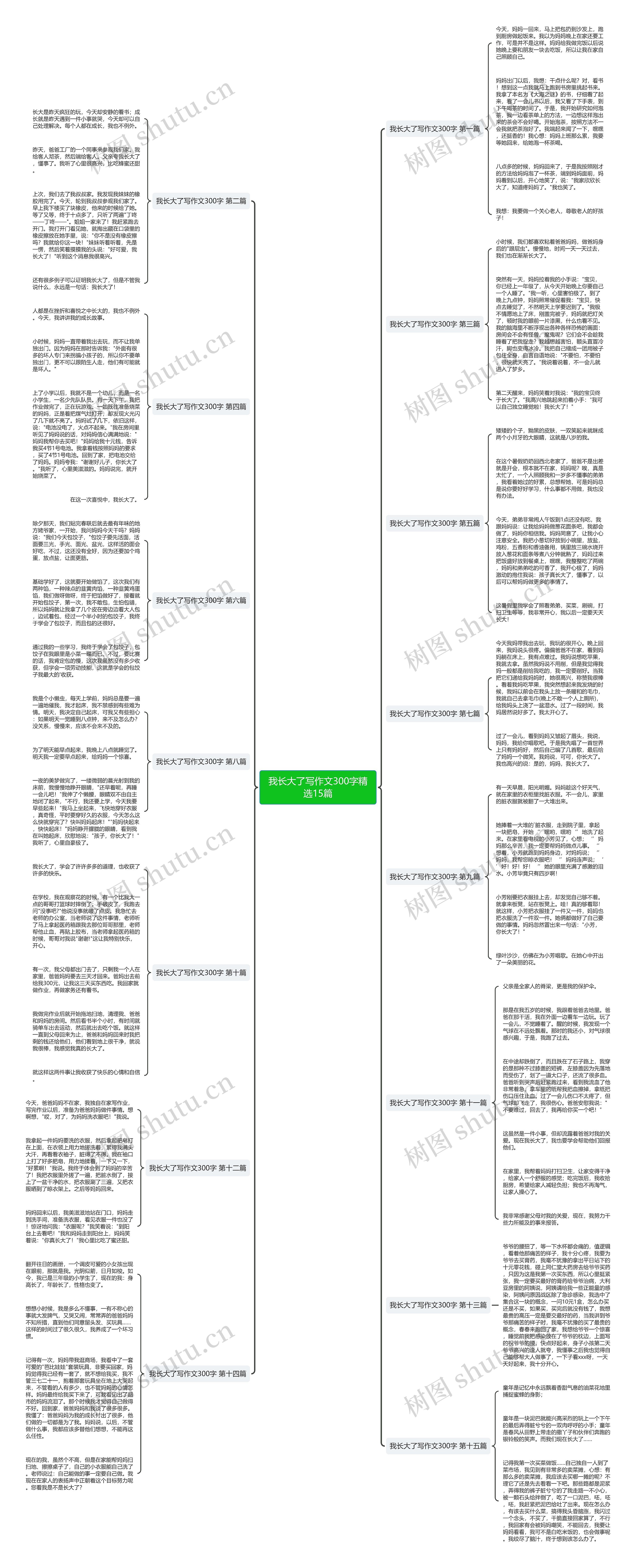 我长大了写作文300字精选15篇思维导图