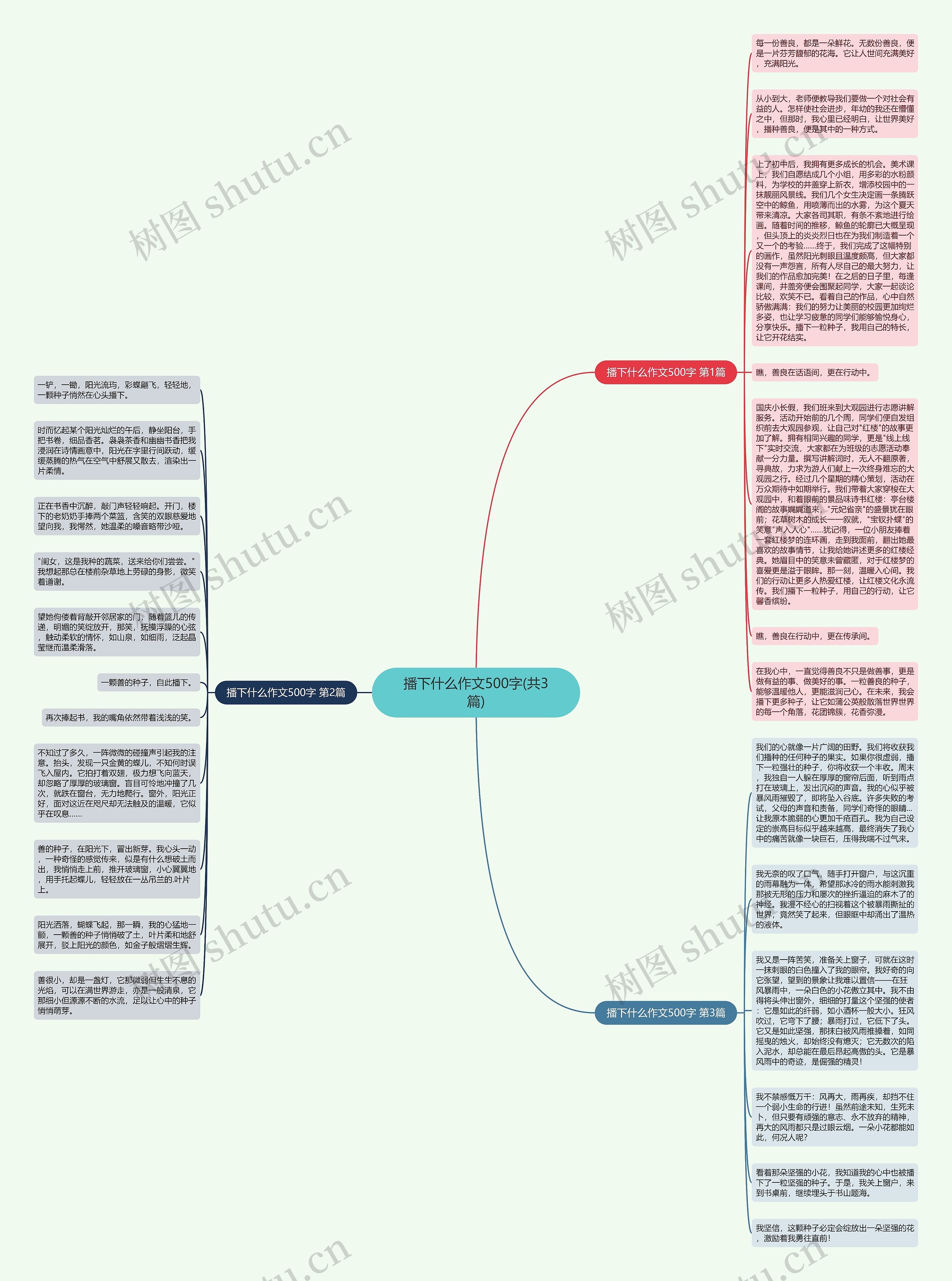 播下什么作文500字(共3篇)思维导图