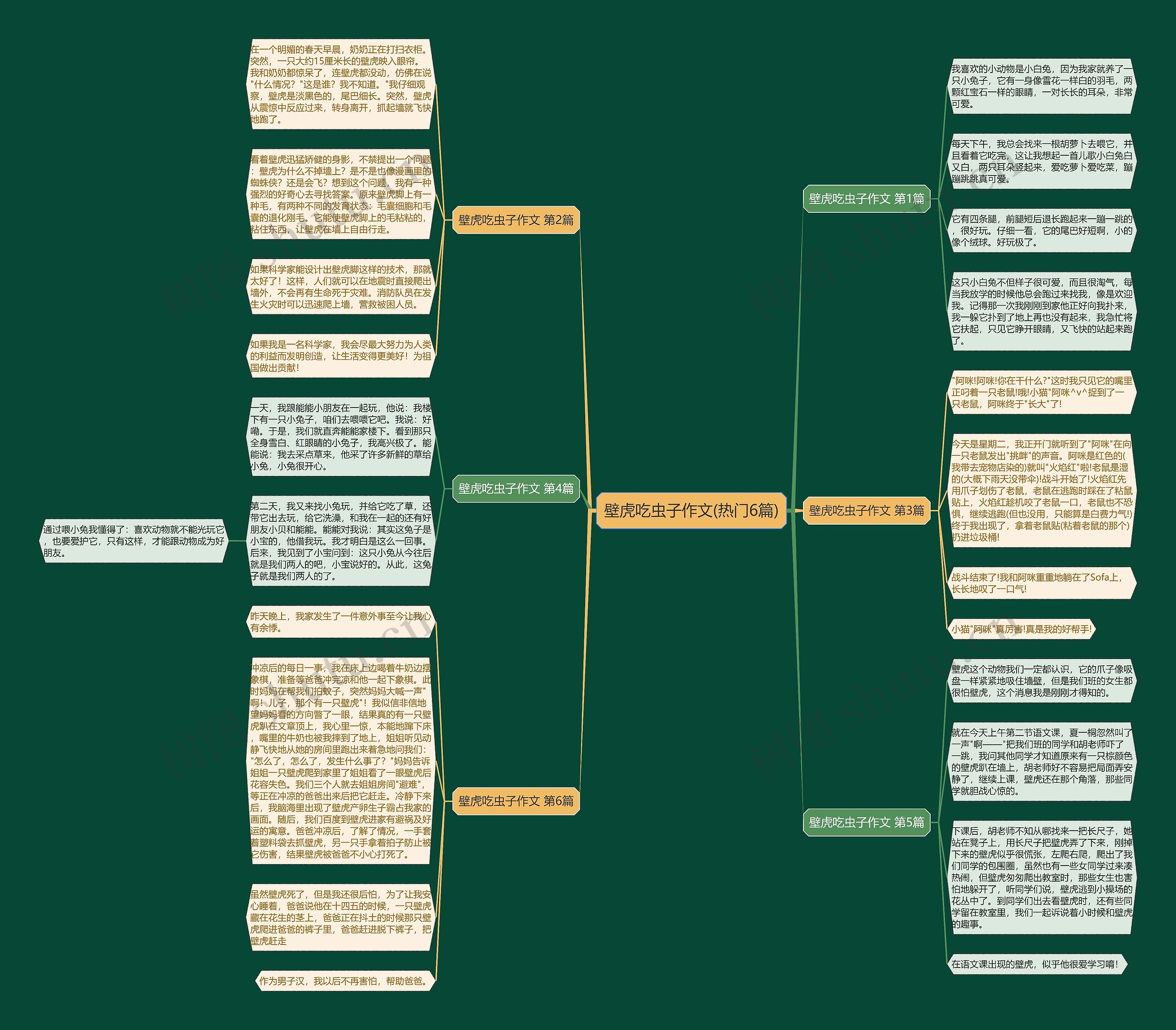 壁虎吃虫子作文(热门6篇)思维导图