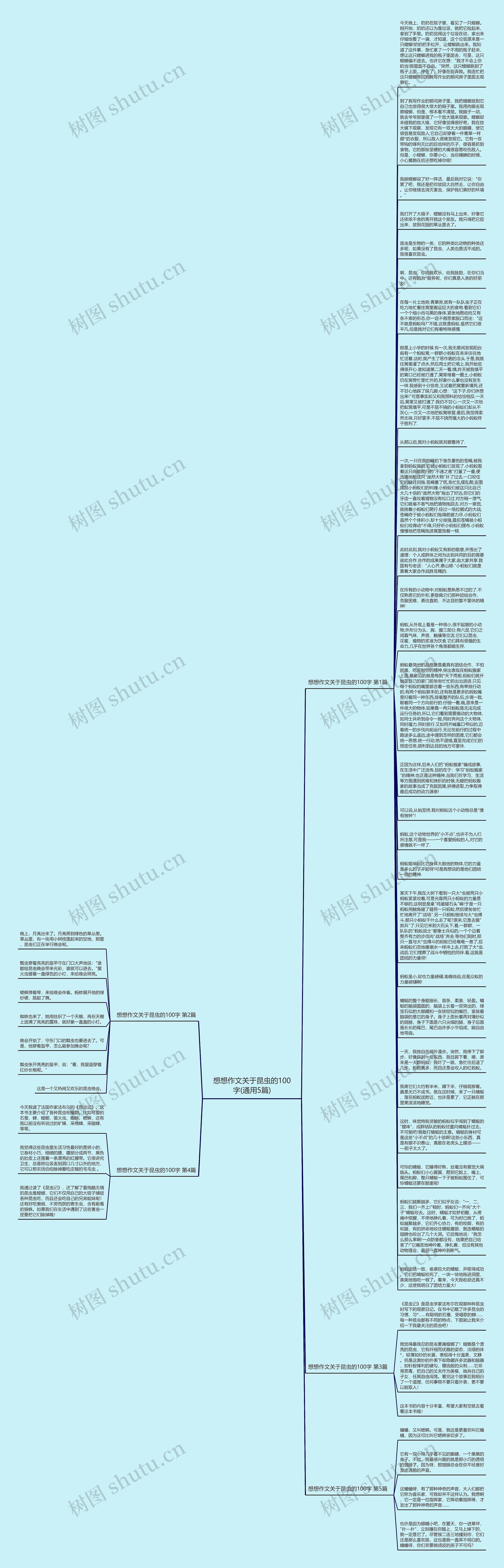想想作文关于昆虫的100字(通用5篇)思维导图