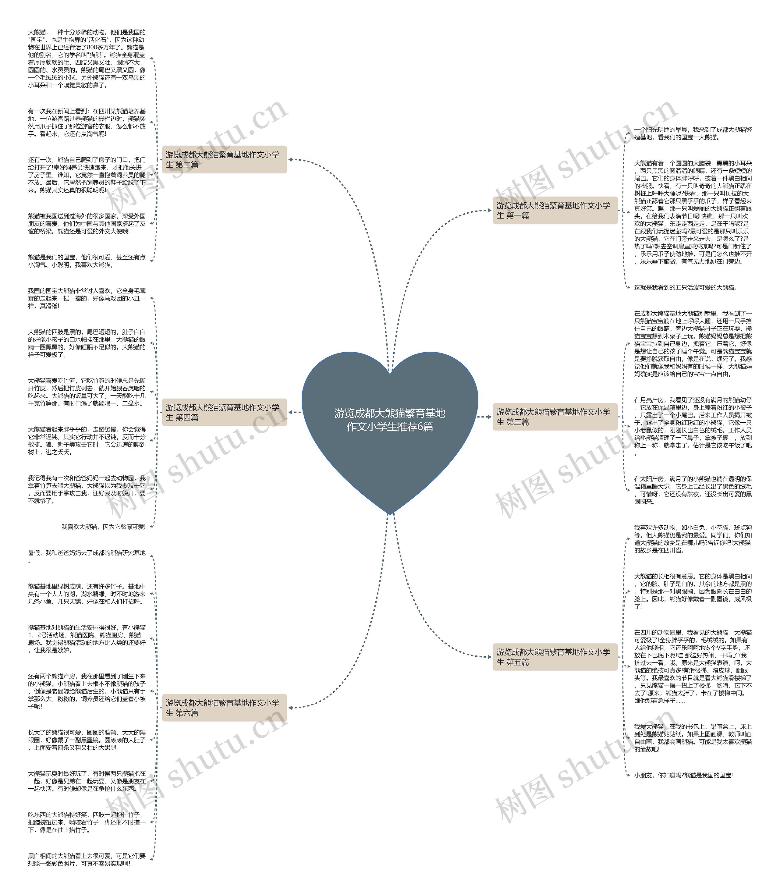 游览成都大熊猫繁育基地作文小学生推荐6篇思维导图