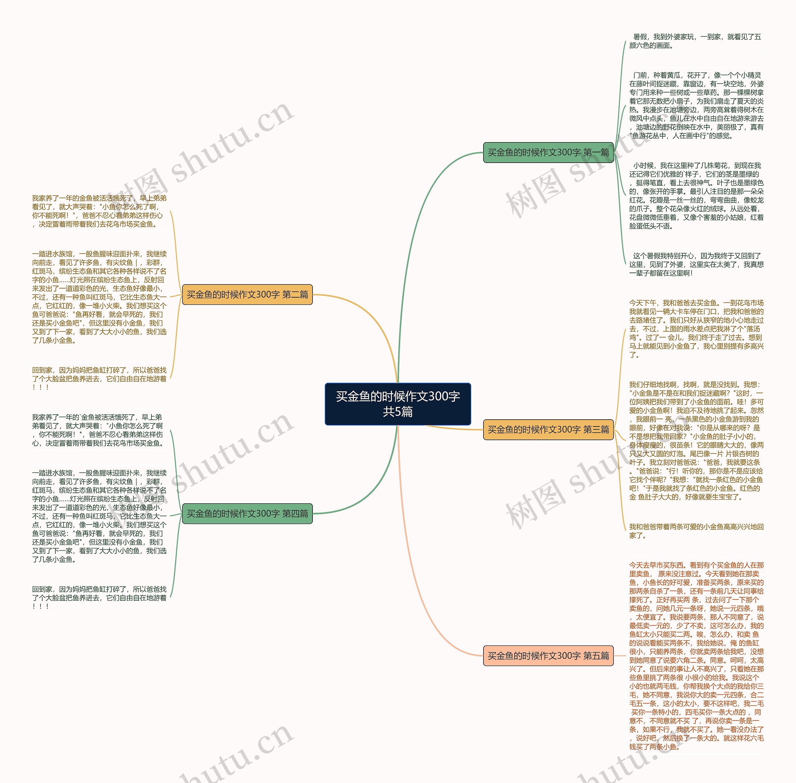 买金鱼的时候作文300字共5篇思维导图