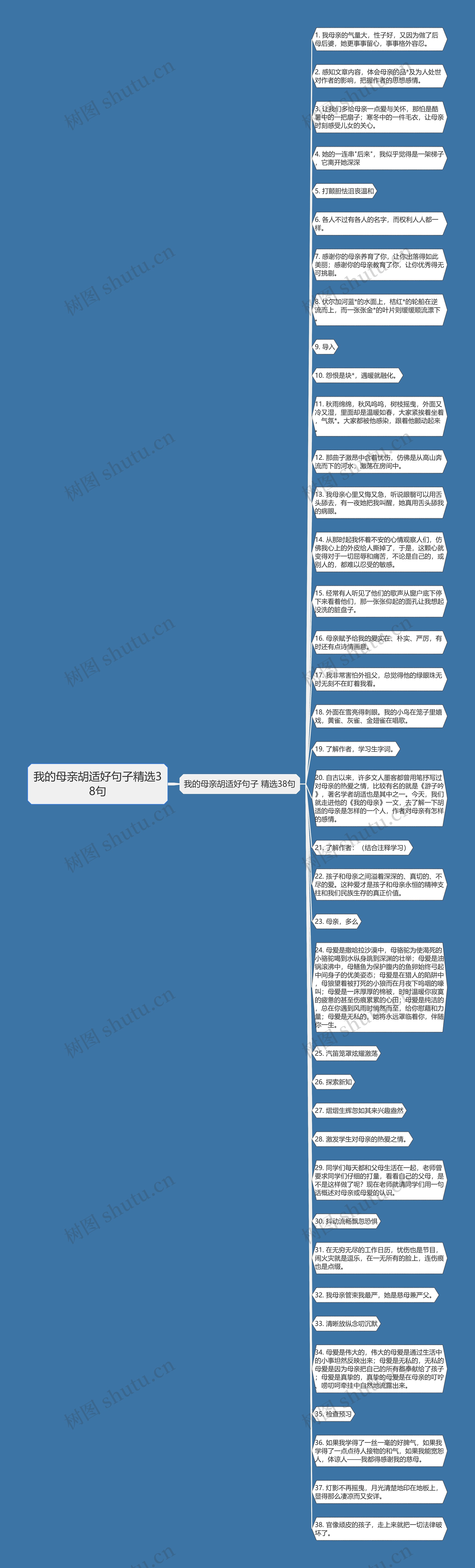 我的母亲胡适好句子精选38句思维导图