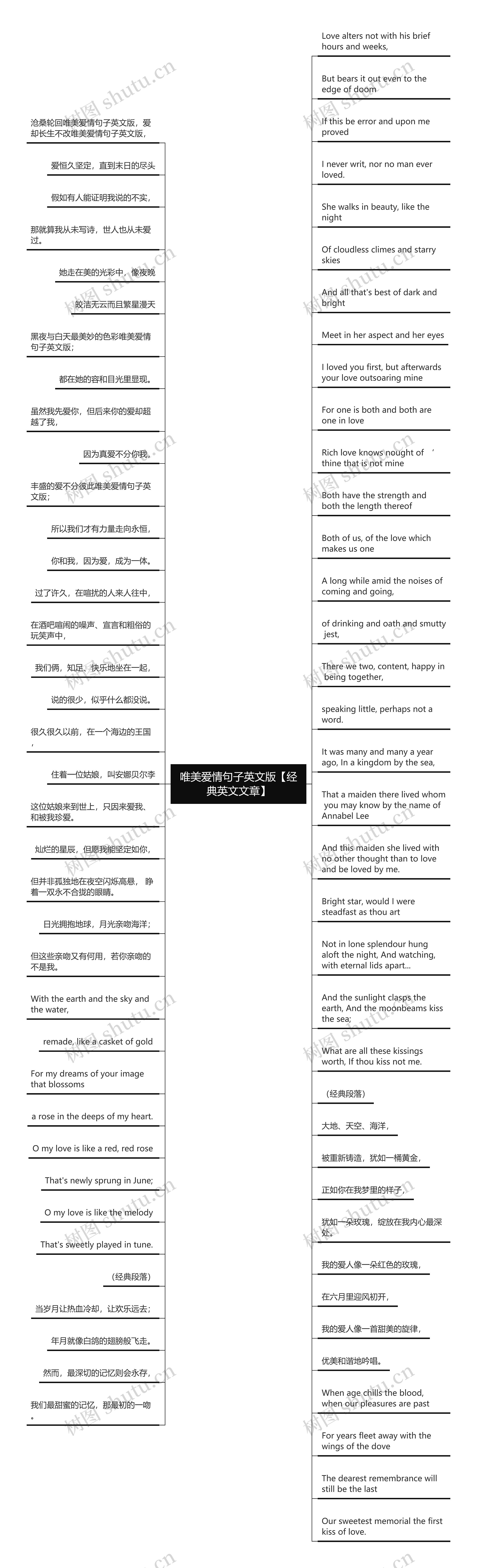 唯美爱情句子英文版【经典英文文章】