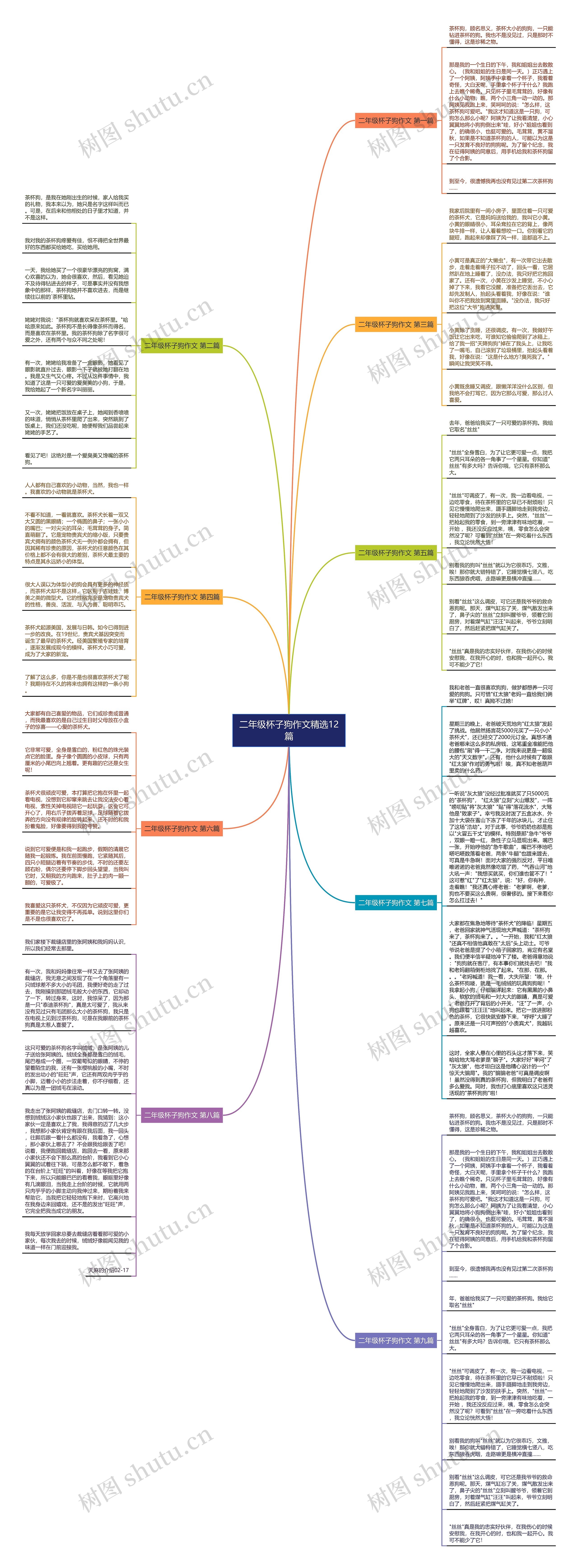 二年级杯子狗作文精选12篇思维导图