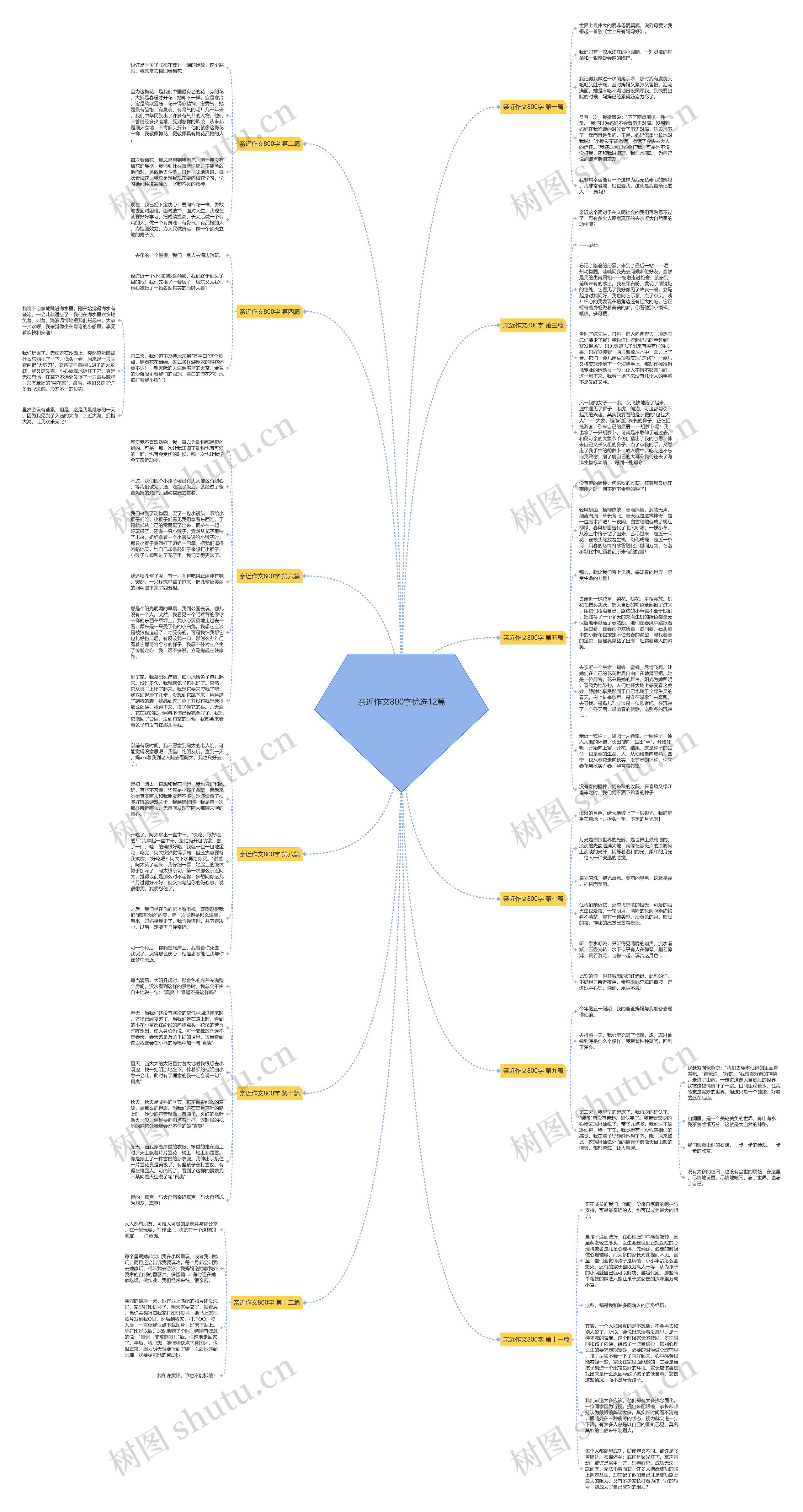 亲近作文800字优选12篇思维导图