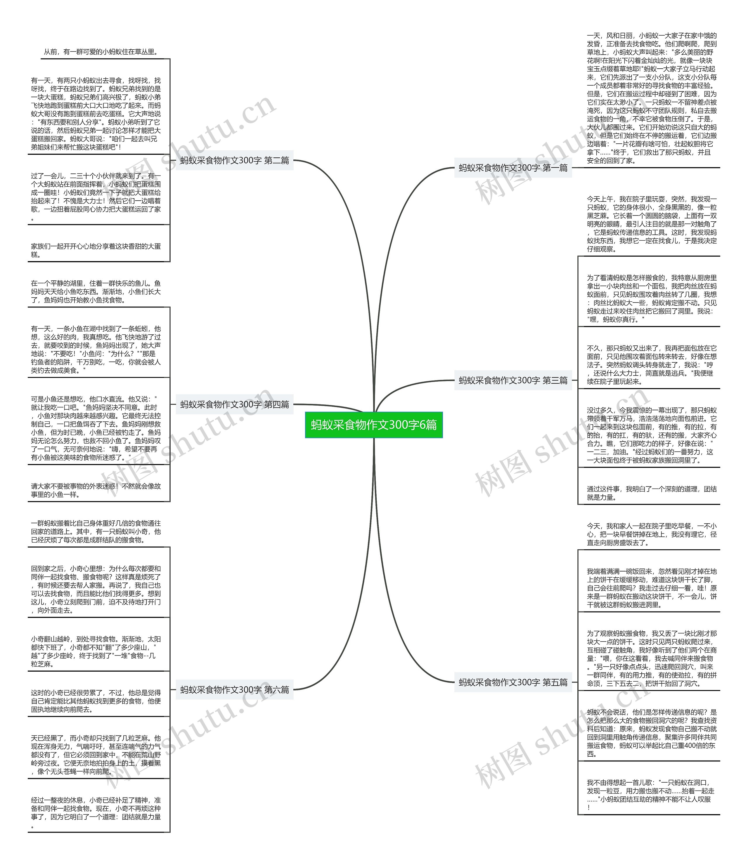 蚂蚁采食物作文300字6篇思维导图