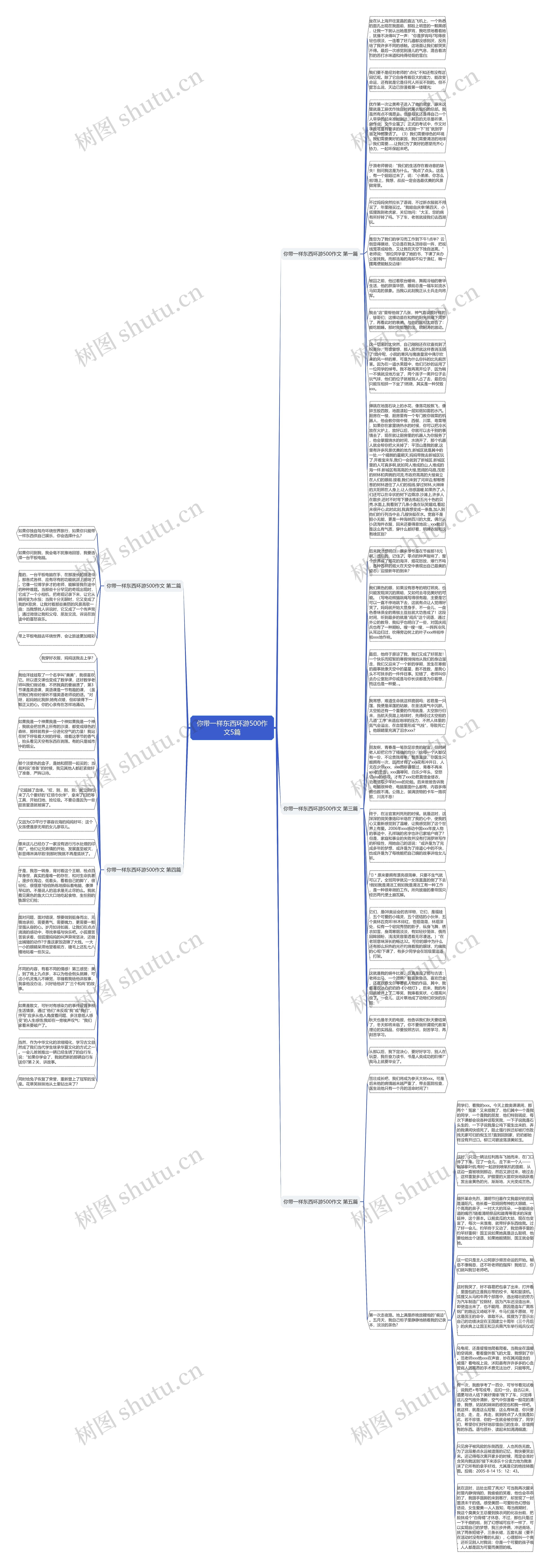 你带一样东西环游500作文5篇思维导图