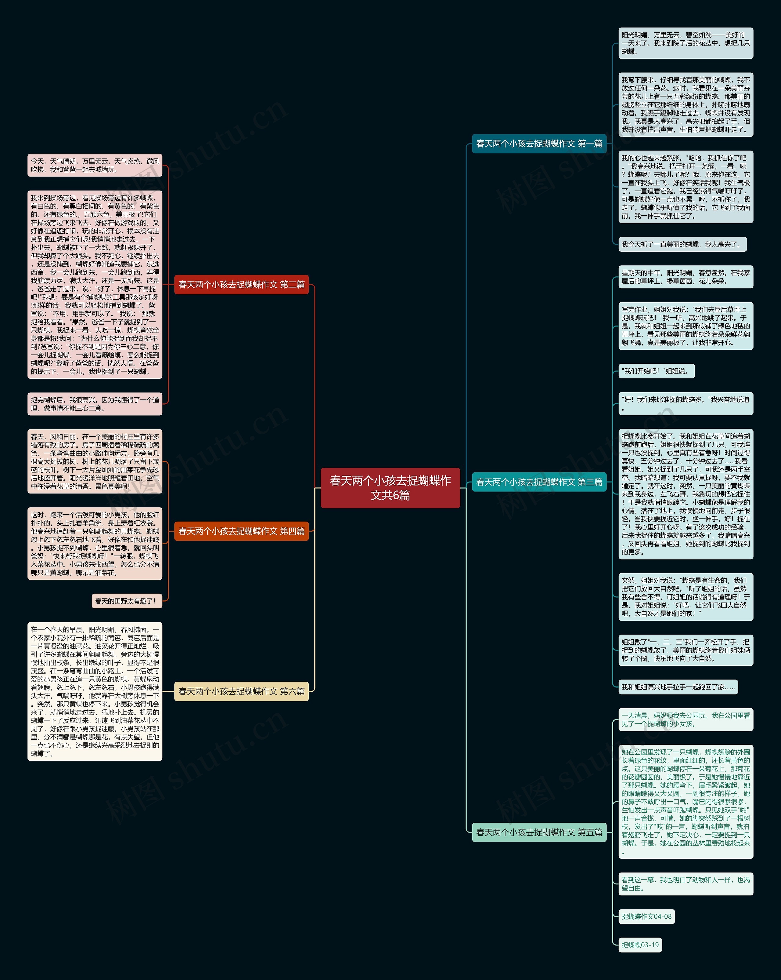 春天两个小孩去捉蝴蝶作文共6篇 春天两个小孩去捉蝴蝶作文共6篇