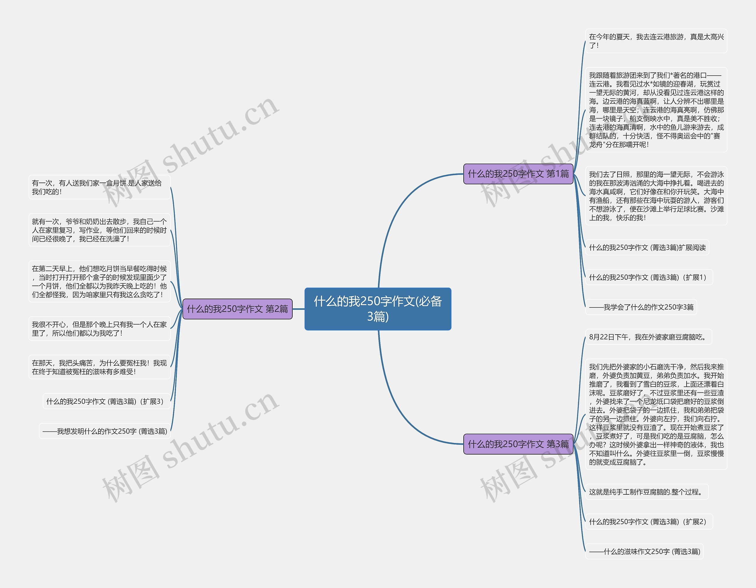 什么的我250字作文(必备3篇)思维导图