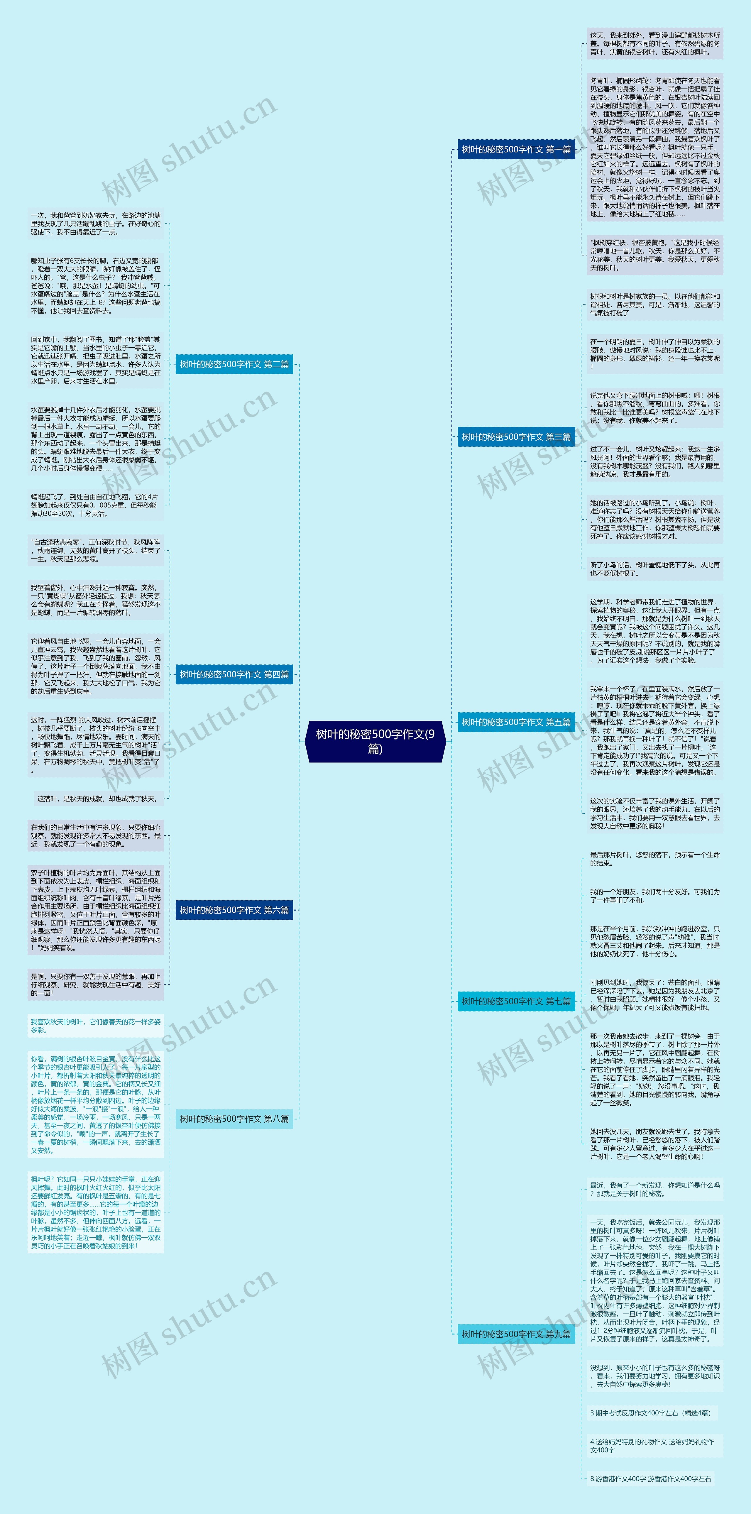 树叶的秘密500字作文(9篇) 树叶的秘密500字作文(9篇)