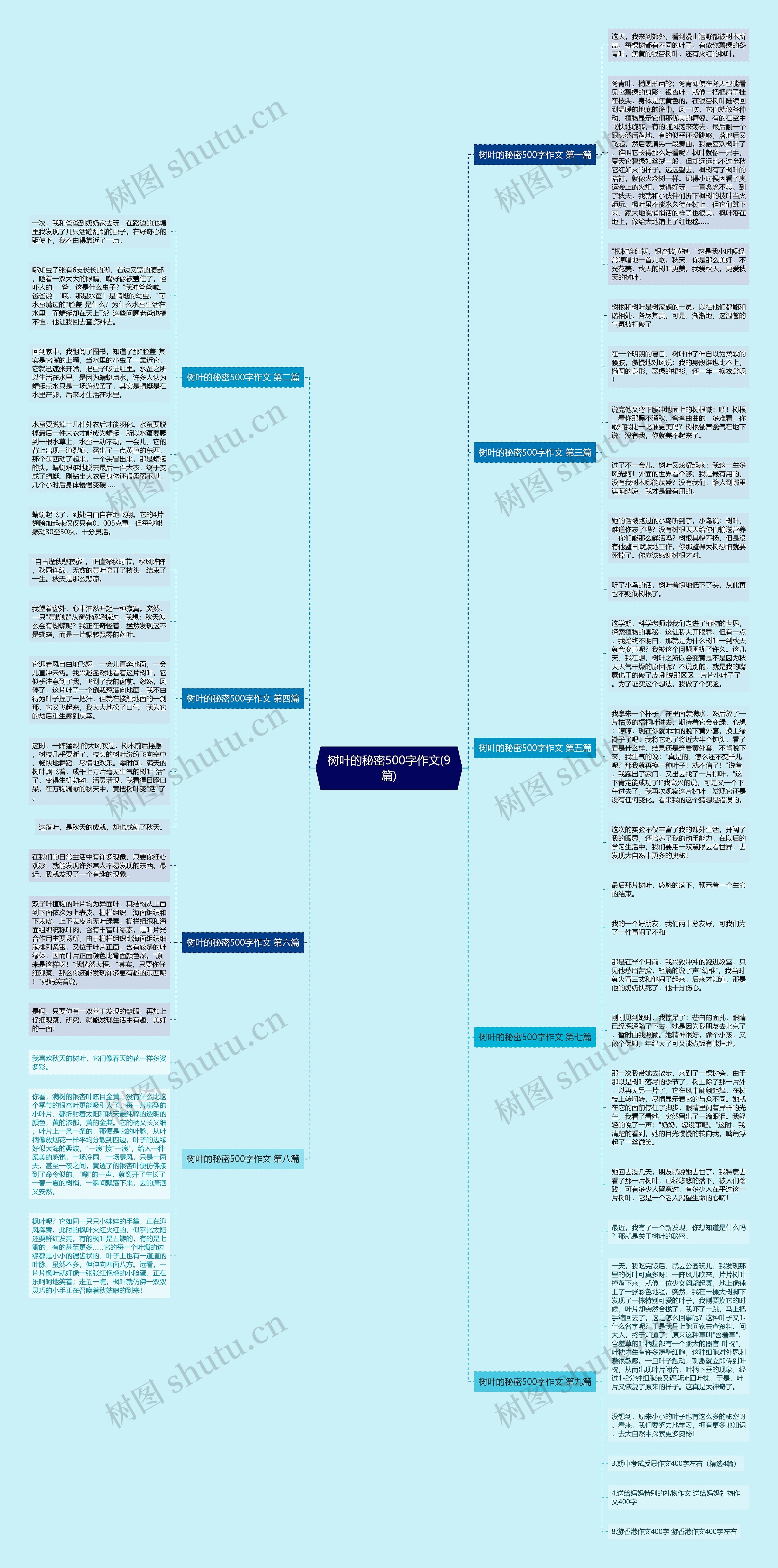树叶的秘密500字作文(9篇)思维导图