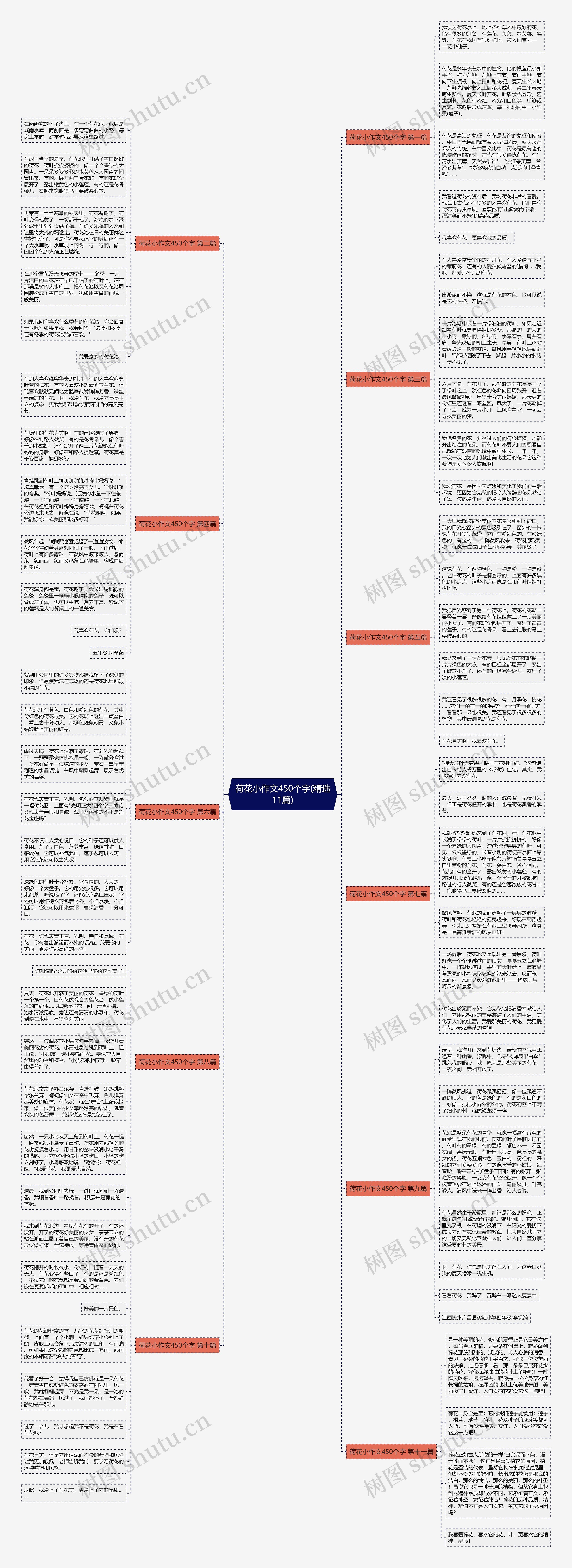 荷花小作文450个字(精选11篇)思维导图