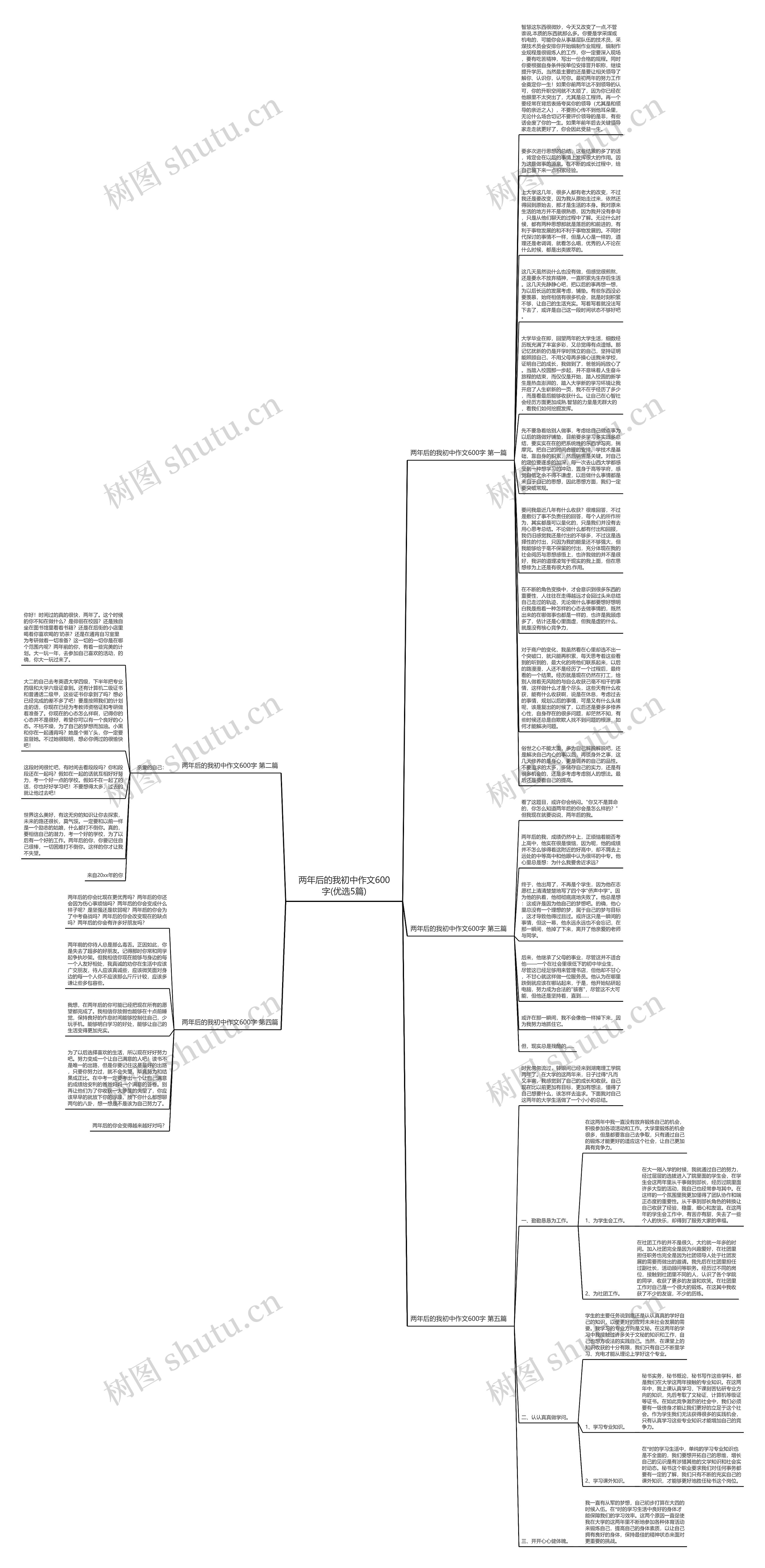 两年后的我初中作文600字(优选5篇)思维导图