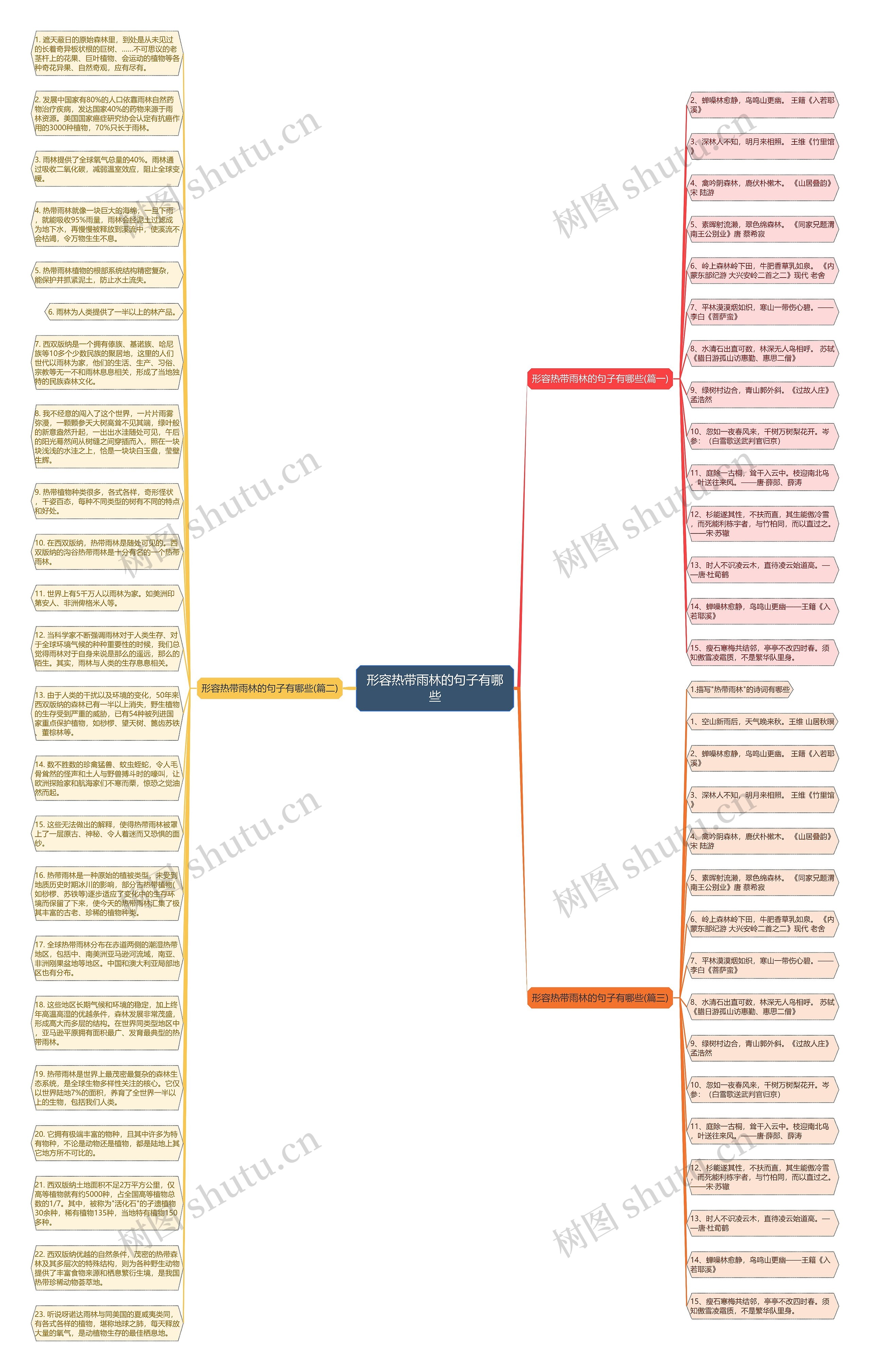 形容热带雨林的句子有哪些思维导图