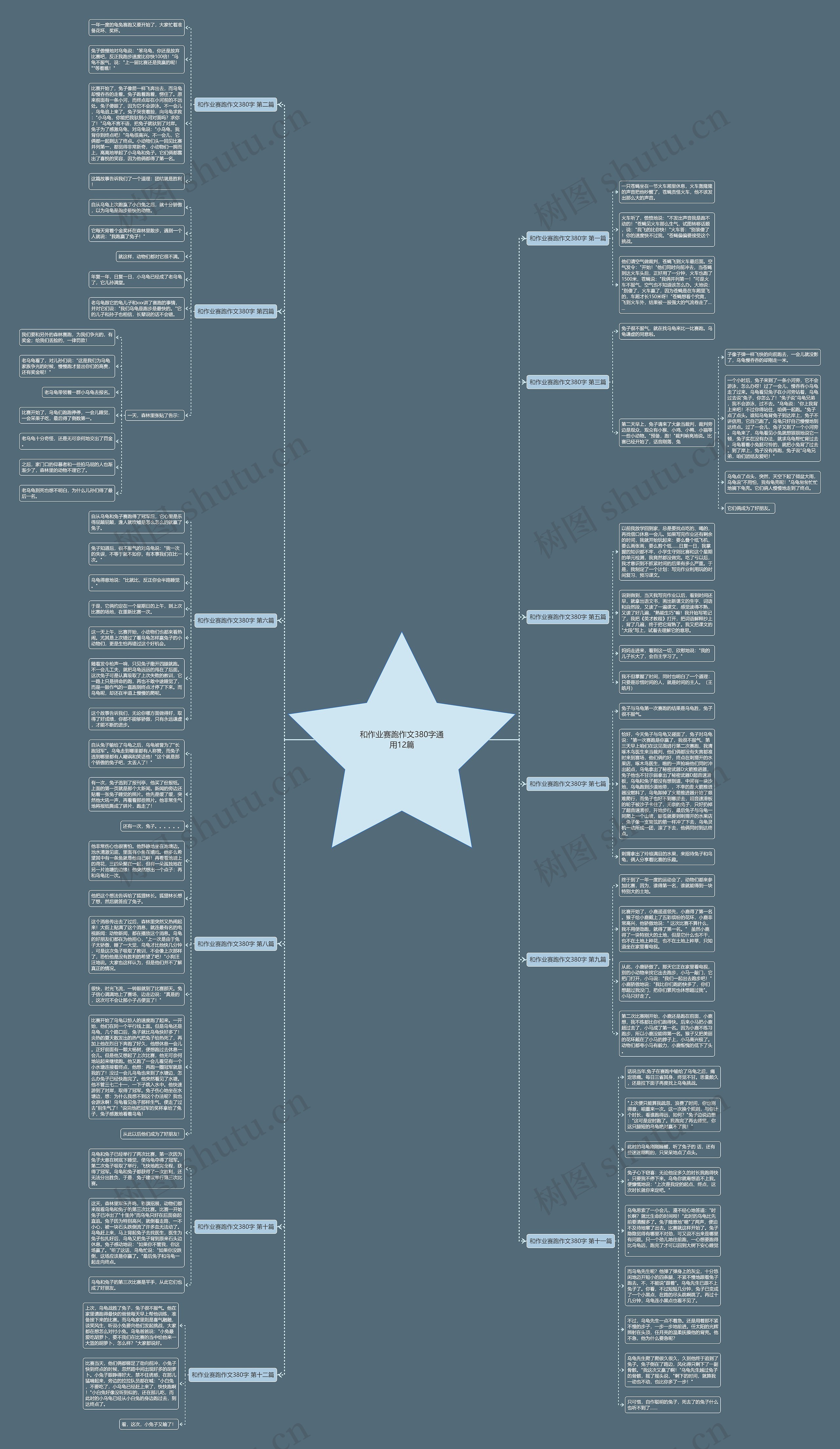 和作业赛跑作文380字通用12篇思维导图