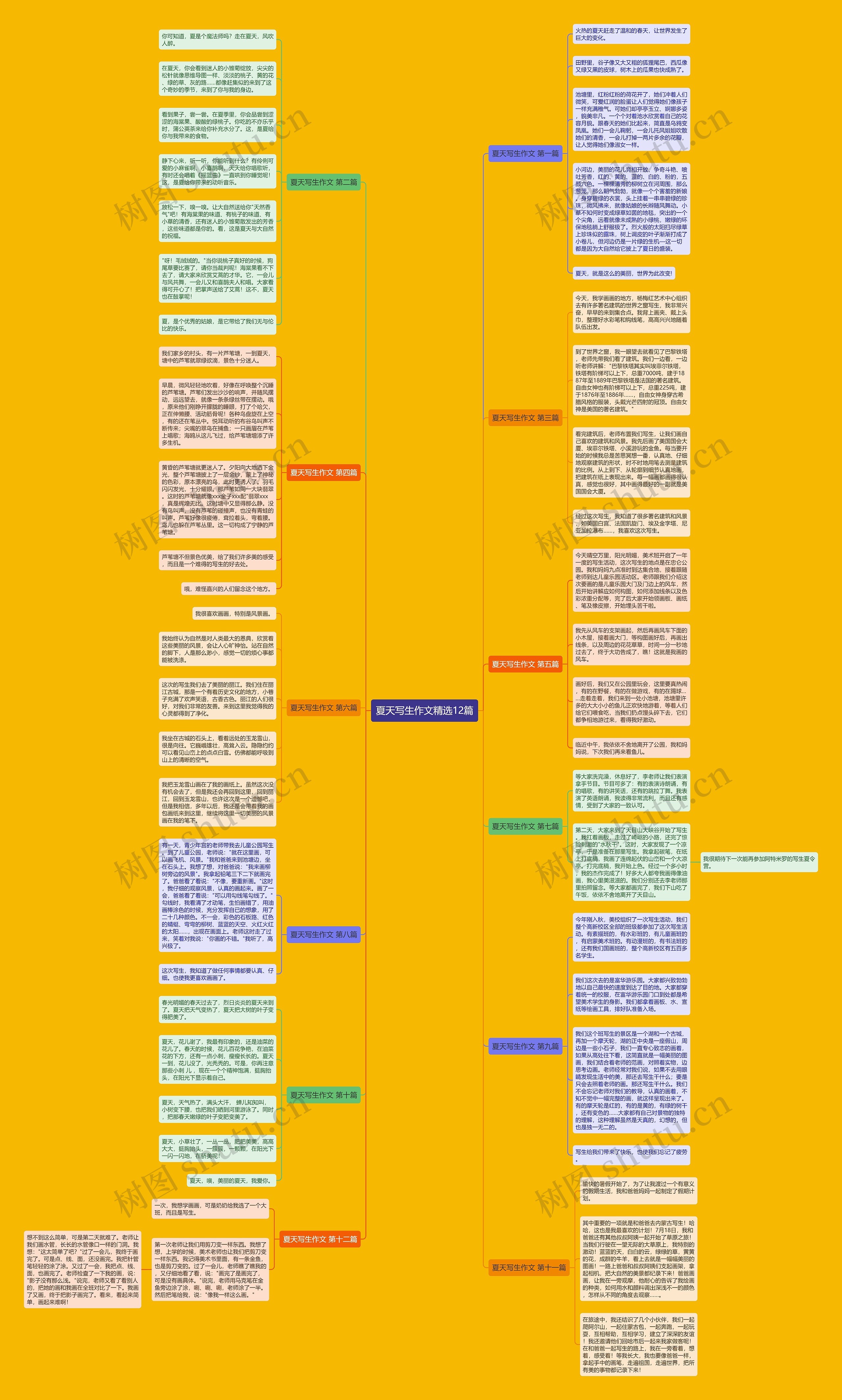 夏天写生作文精选12篇