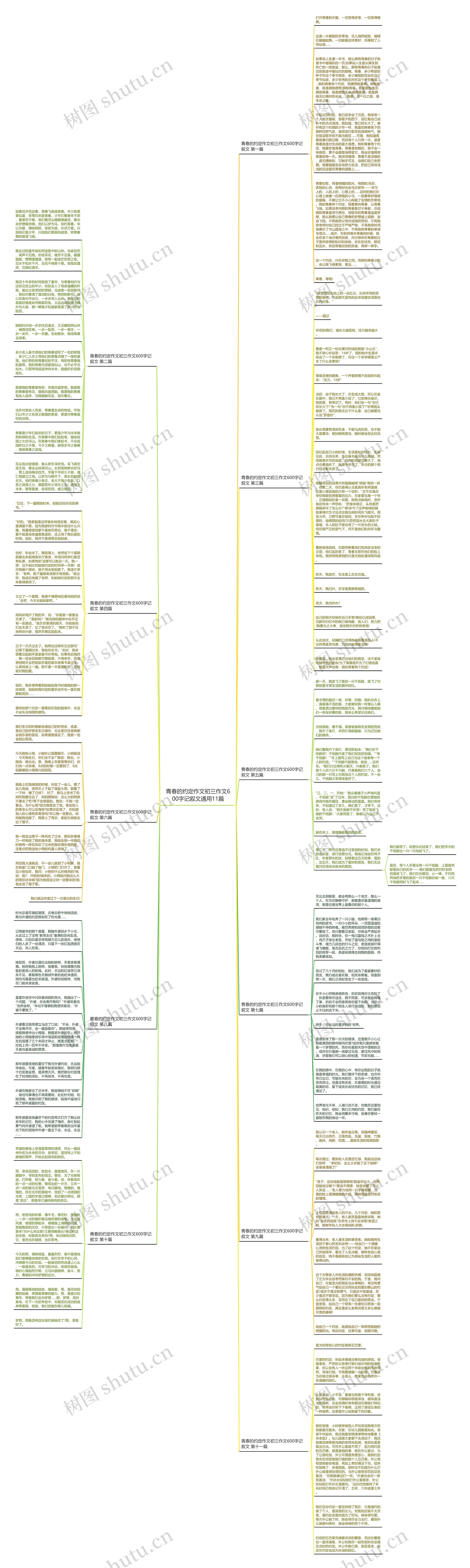 青春的约定作文初三作文600字记叙文通用11篇思维导图
