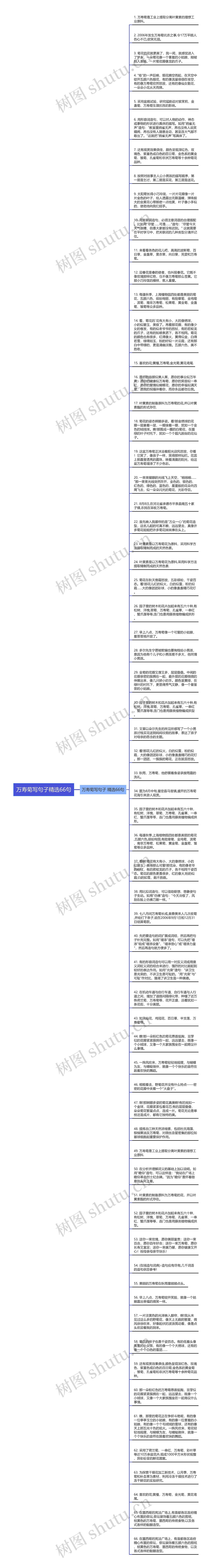 万寿菊写句子精选66句