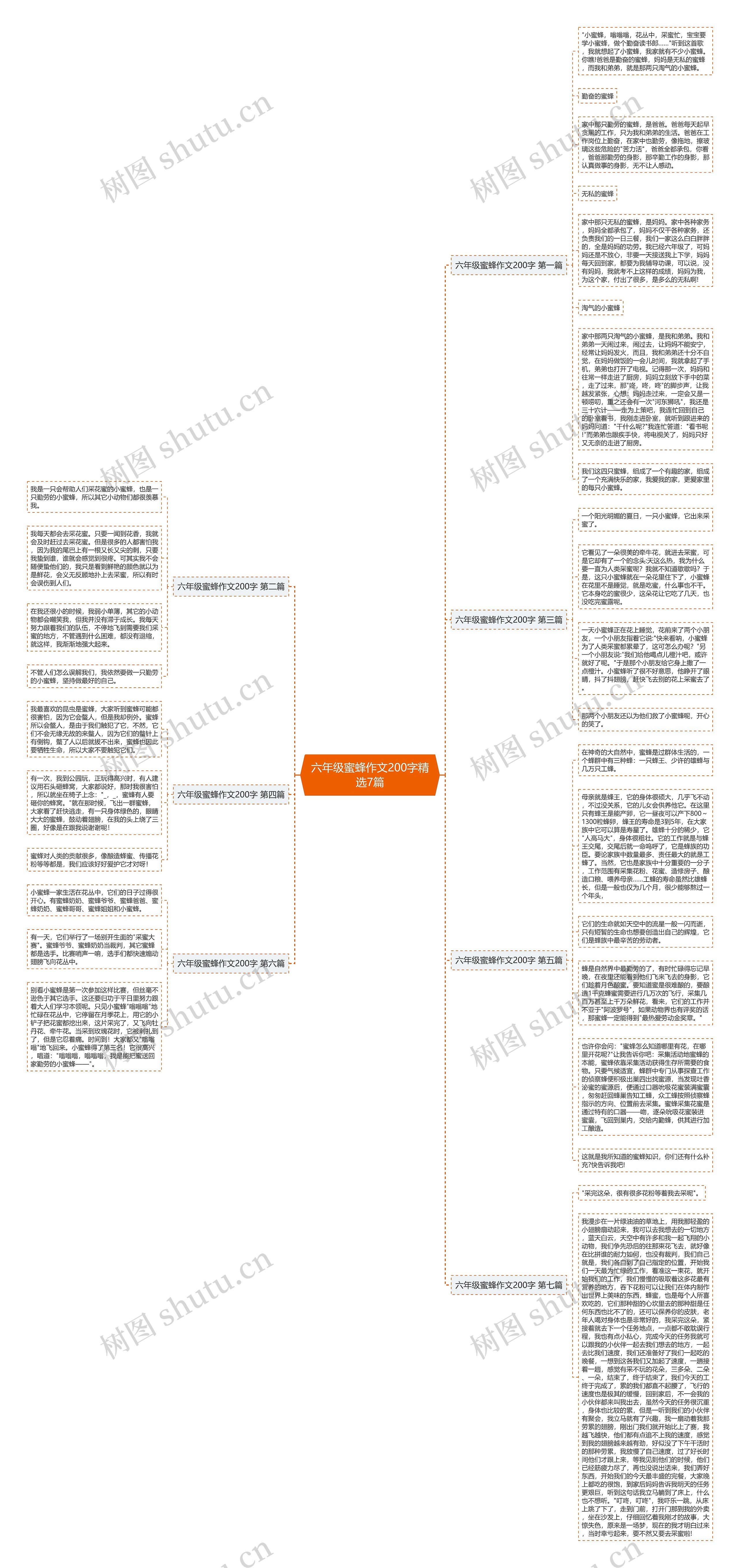 六年级蜜蜂作文200字精选7篇思维导图