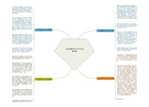 小学生精选作文450字(必备4篇)