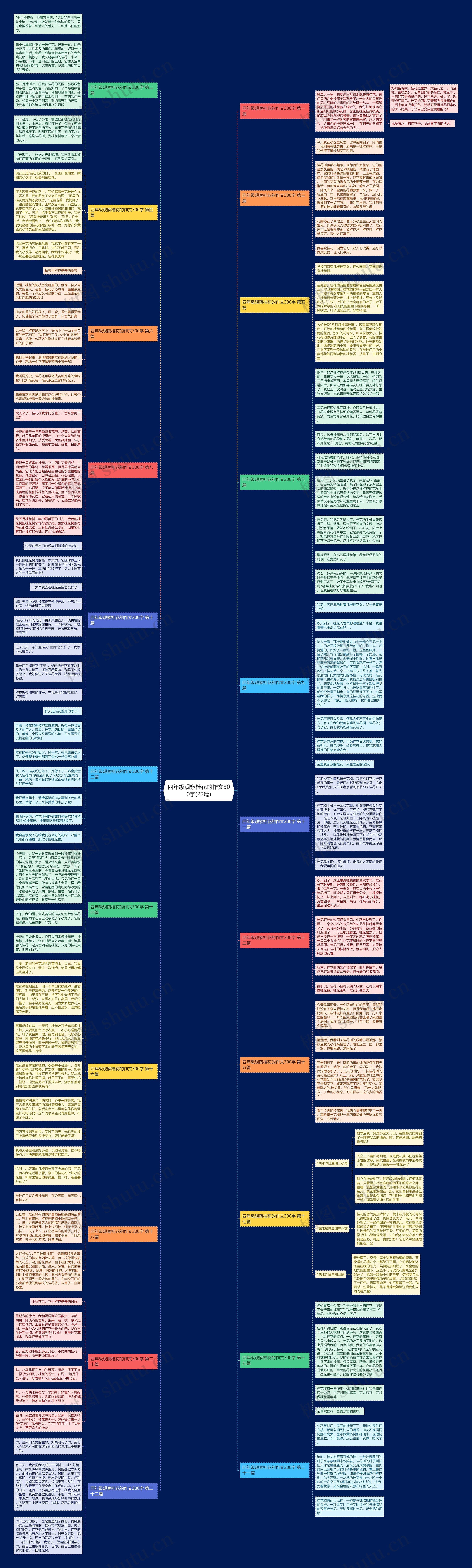 四年级观察桂花的作文300字(22篇)