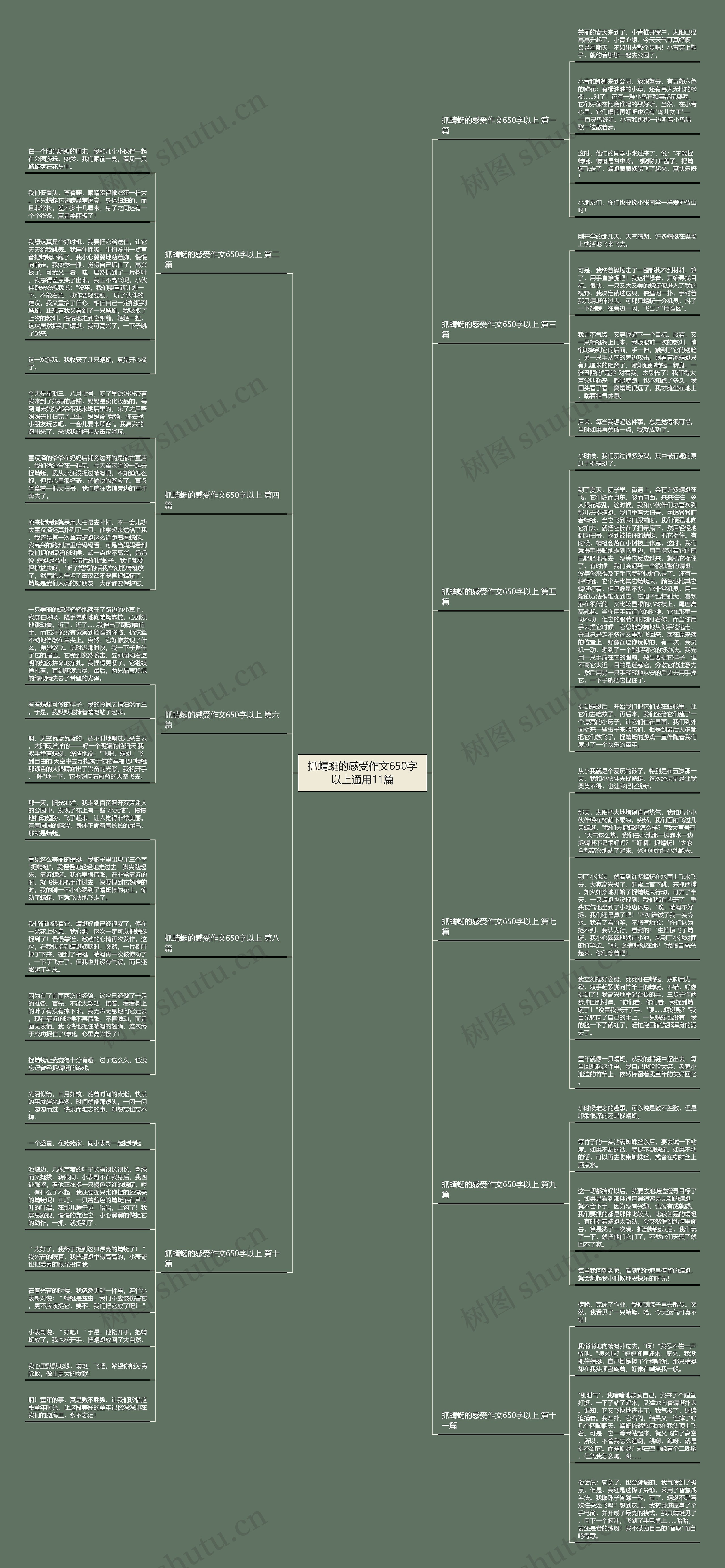 抓蜻蜓的感受作文650字以上通用11篇思维导图