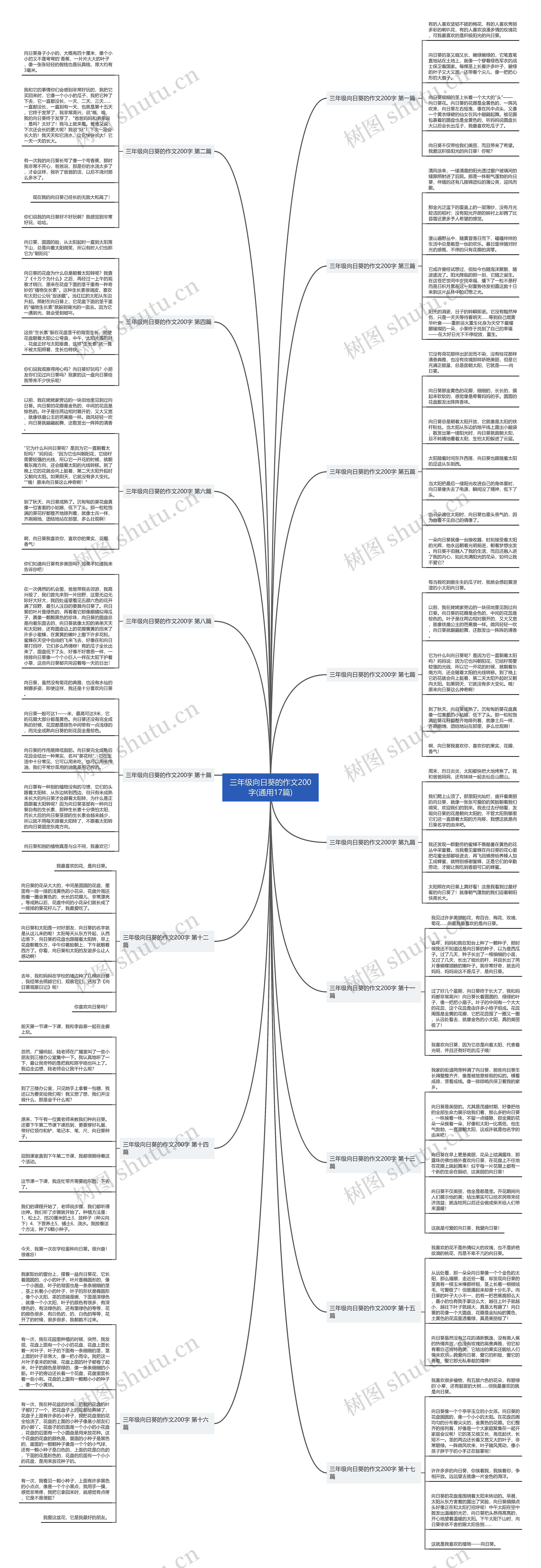 三年级向日葵的作文200字(通用17篇)思维导图