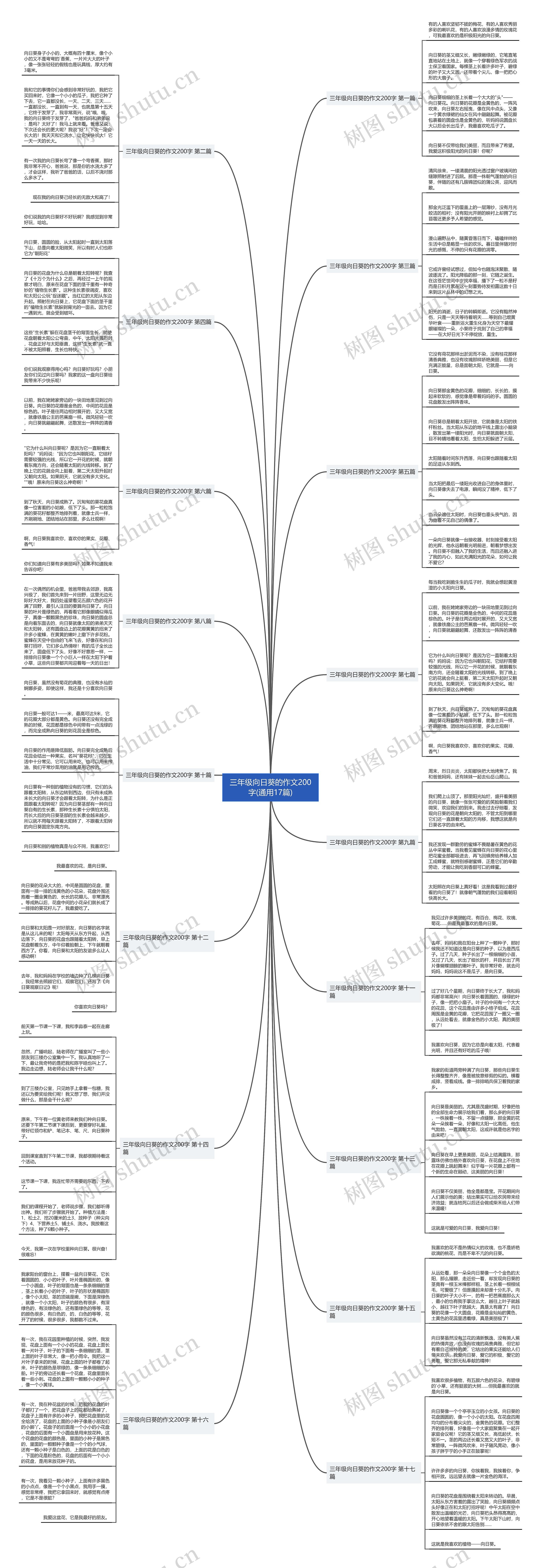 三年级向日葵的作文200字(通用17篇) 三年级向日葵的作文200字(通用17篇)