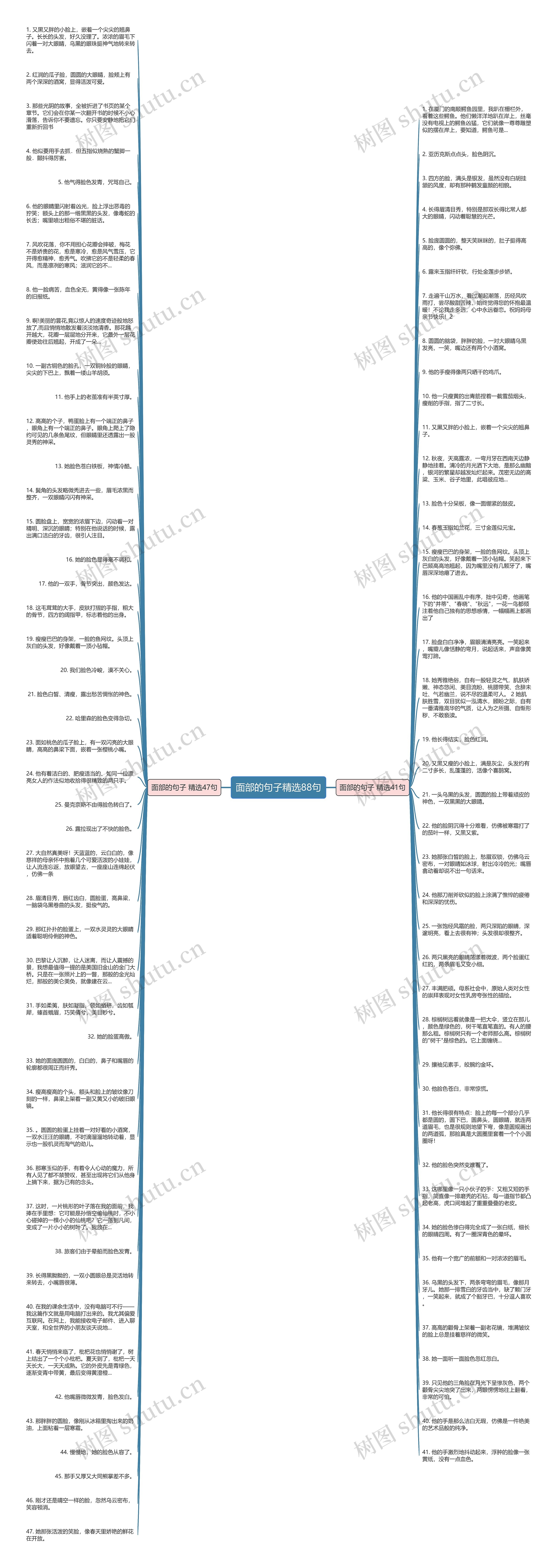 面部的句子精选88句思维导图