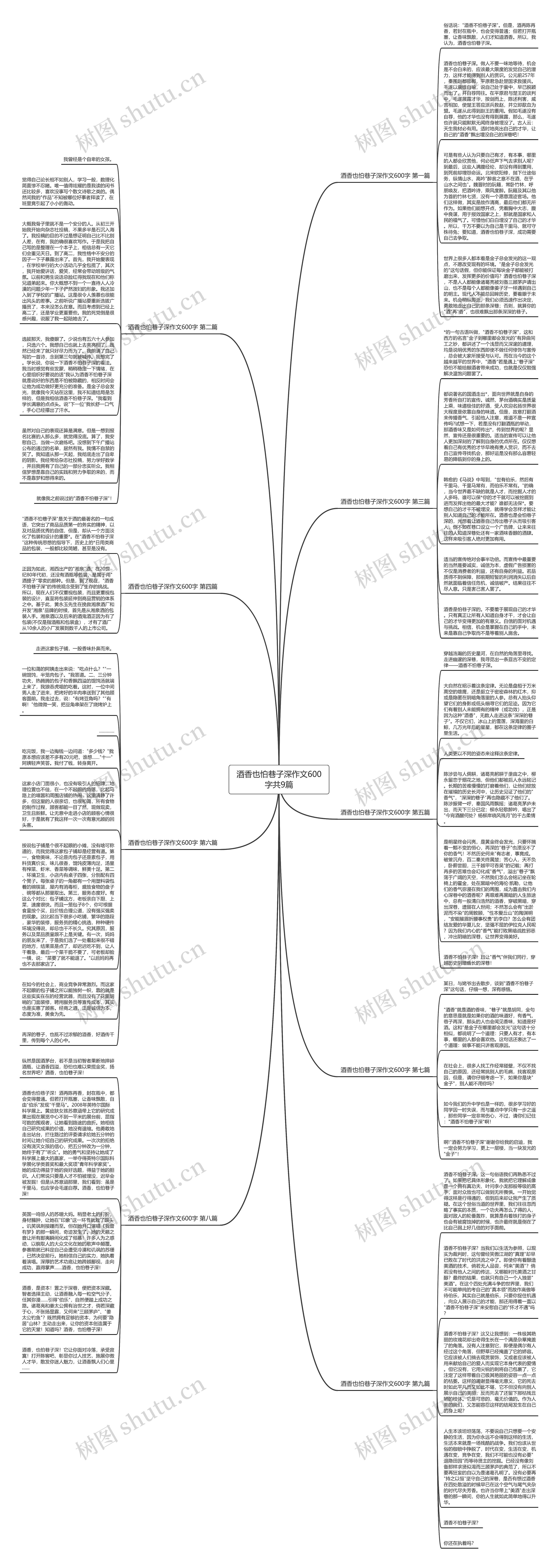 酒香也怕巷子深作文600字共9篇思维导图