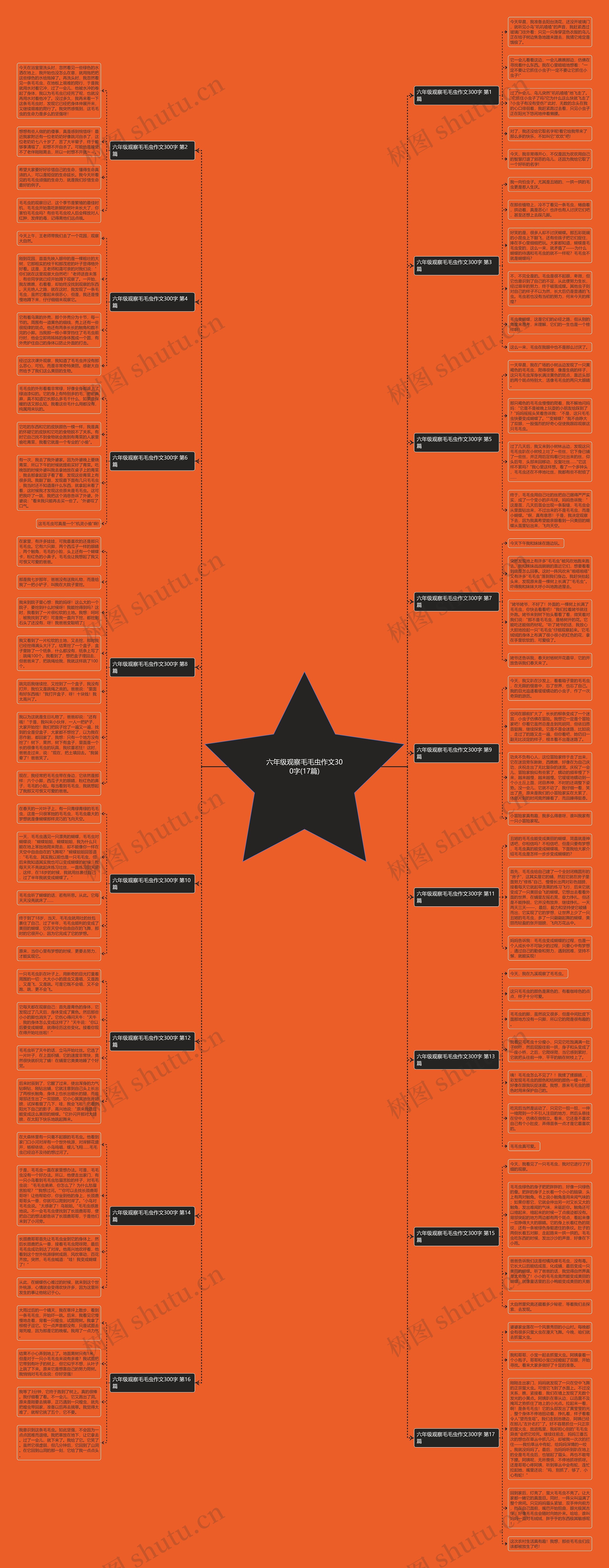 六年级观察毛毛虫作文300字(17篇)思维导图