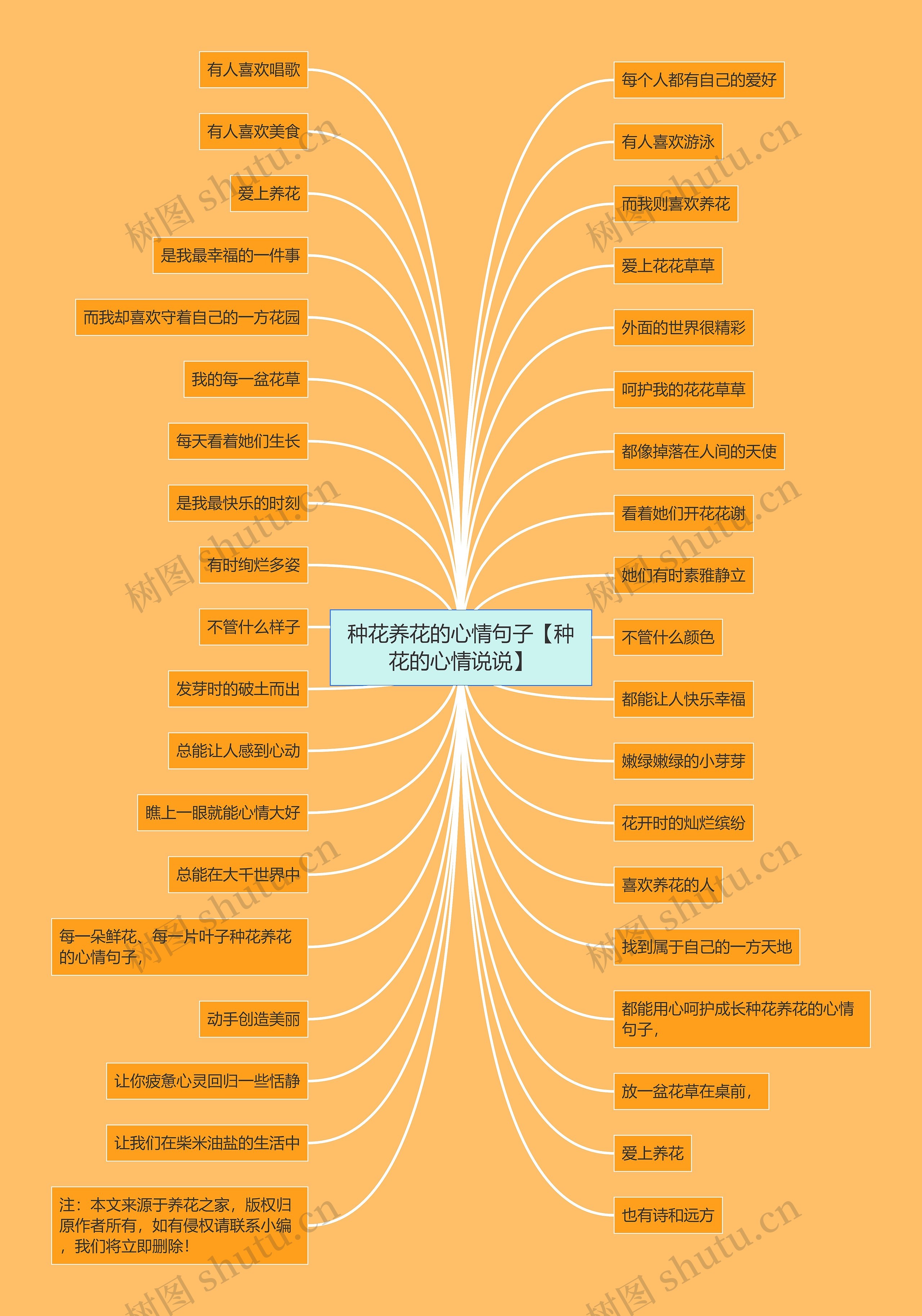 种花养花的心情句子【种花的心情说说】 种花养花的心情句子【种花的心情说说】