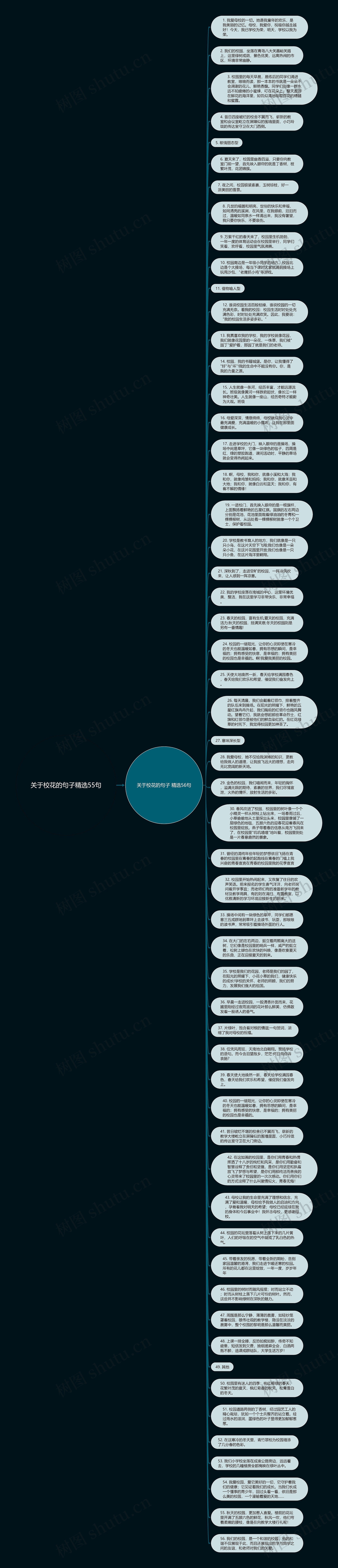关于校花的句子精选55句思维导图