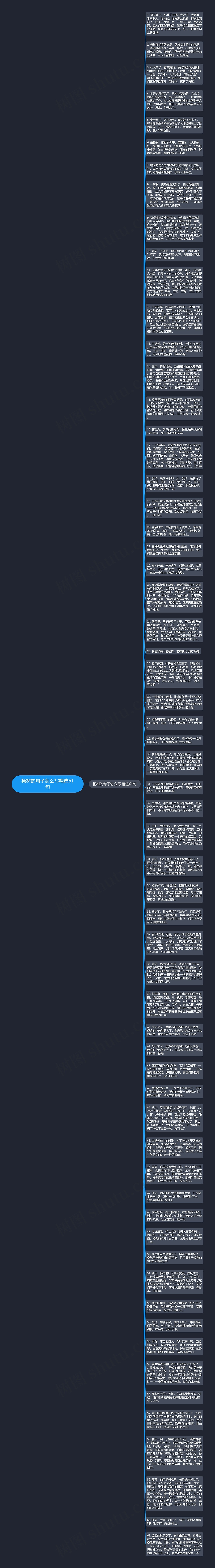杨树的句子怎么写精选61句思维导图
