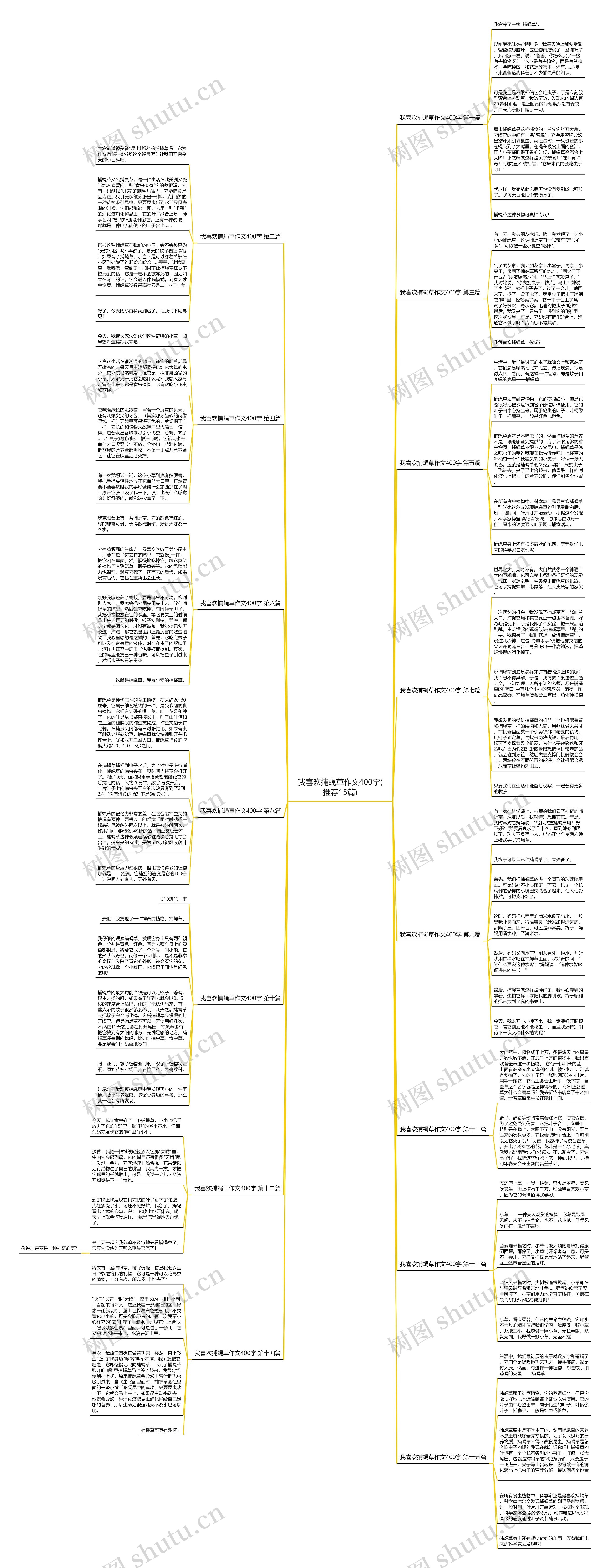 我喜欢捕蝇草作文400字(推荐15篇)思维导图