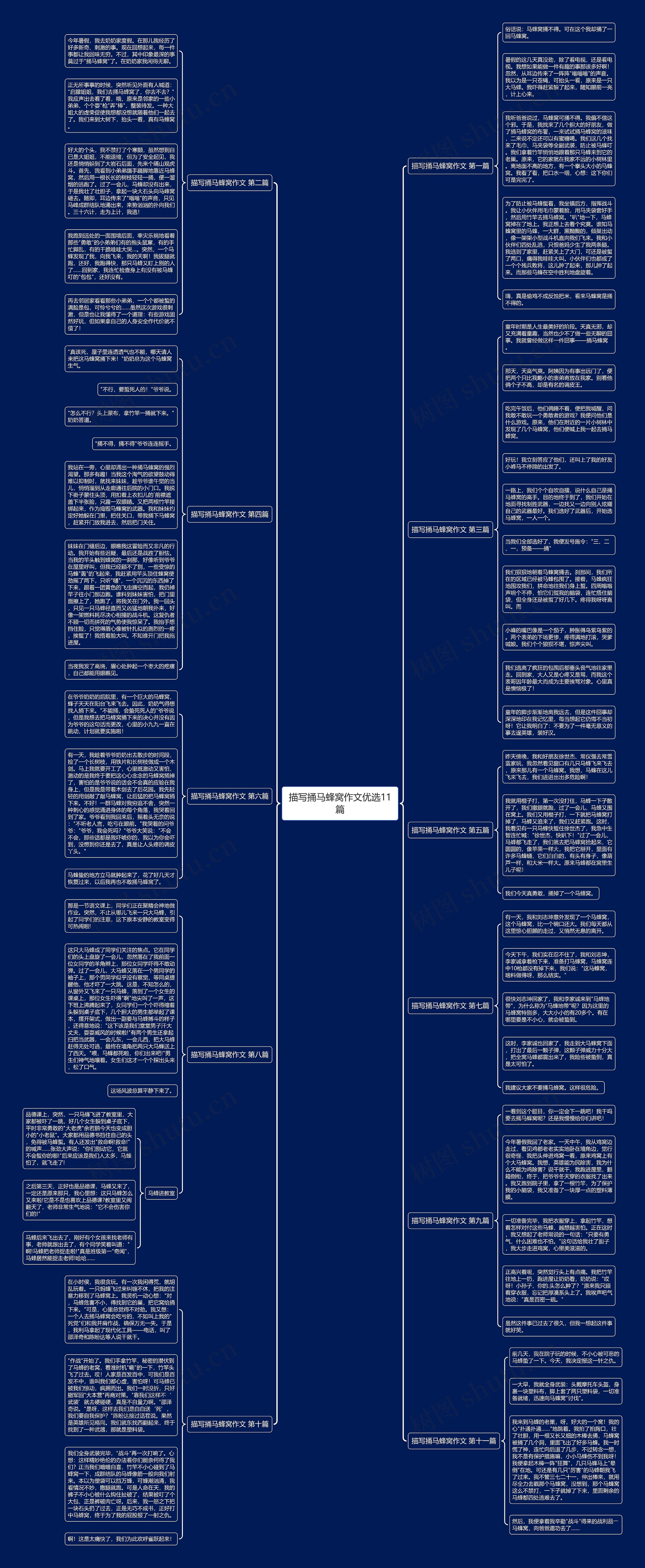 描写捅马蜂窝作文优选11篇思维导图