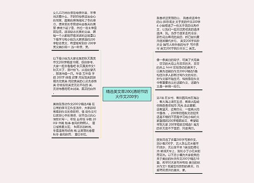 精选美文章200(清明节防火作文200字)