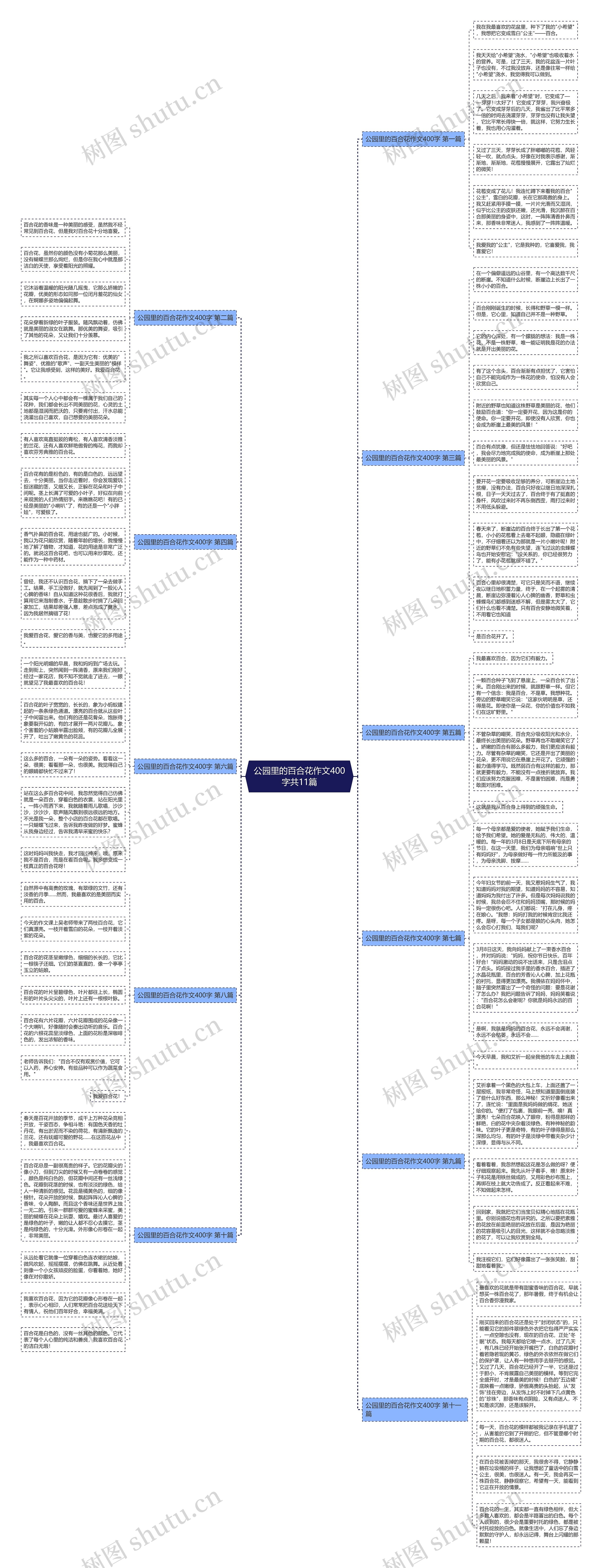 公园里的百合花作文400字共11篇思维导图
