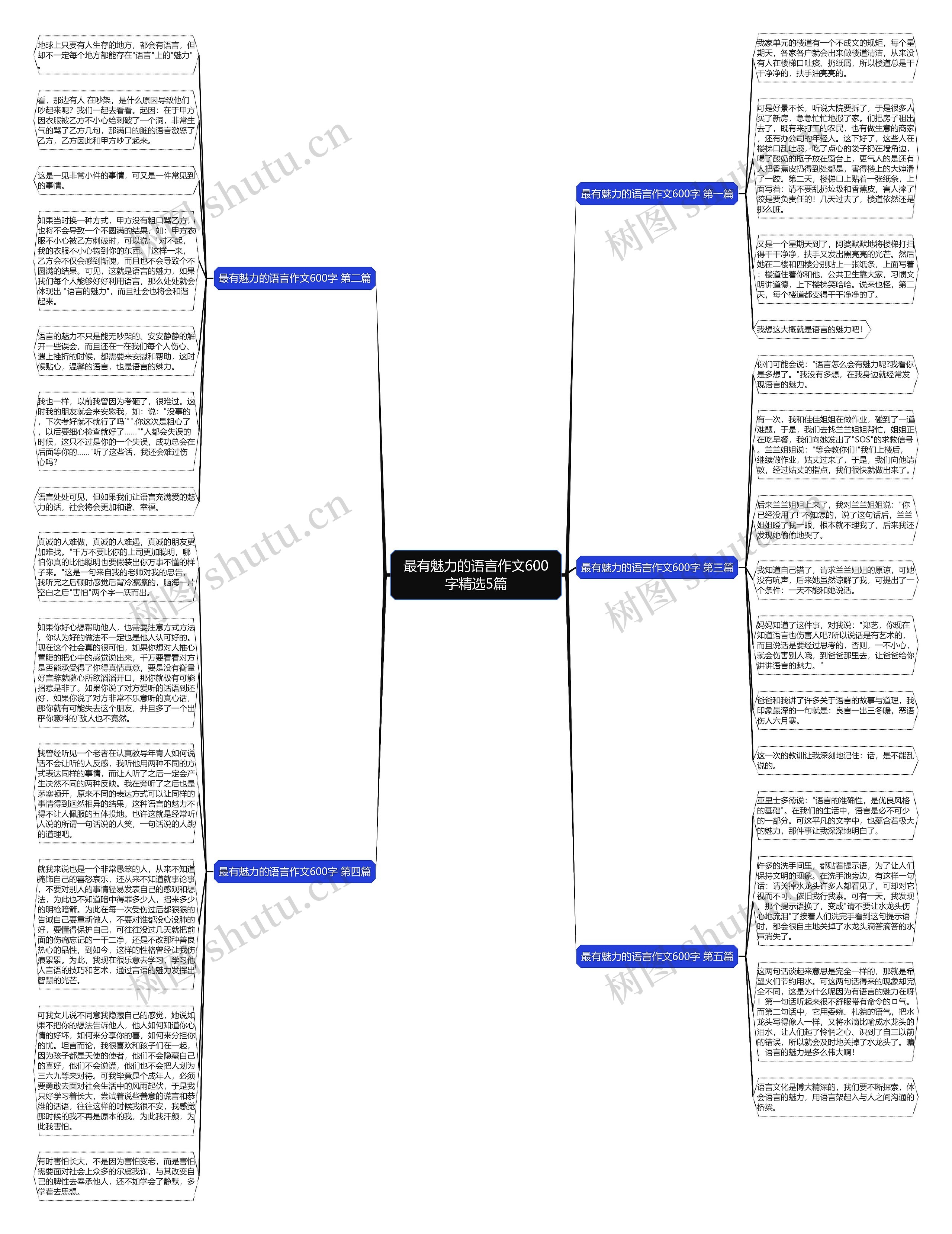最有魅力的语言作文600字精选5篇思维导图