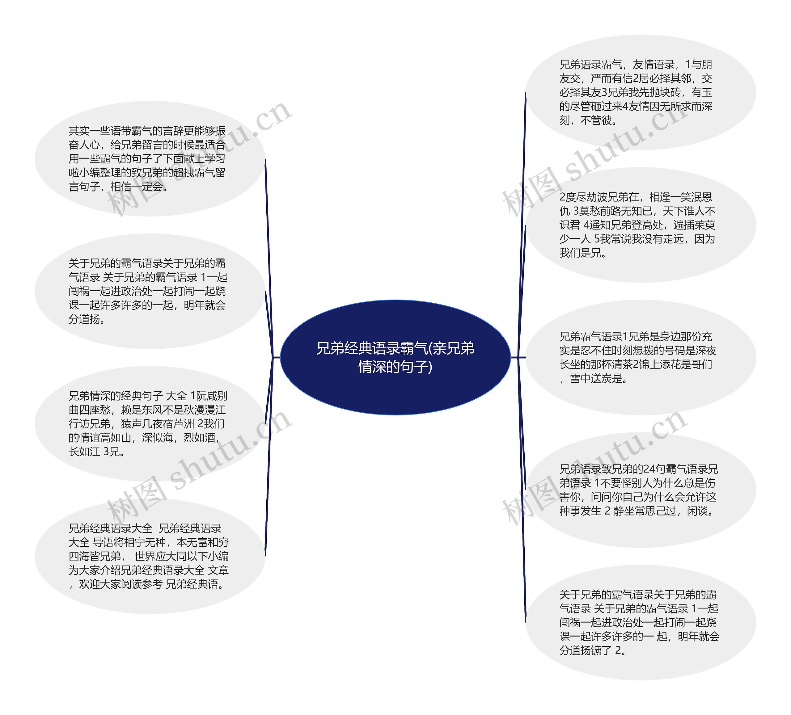 兄弟经典语录霸气(亲兄弟情深的句子)