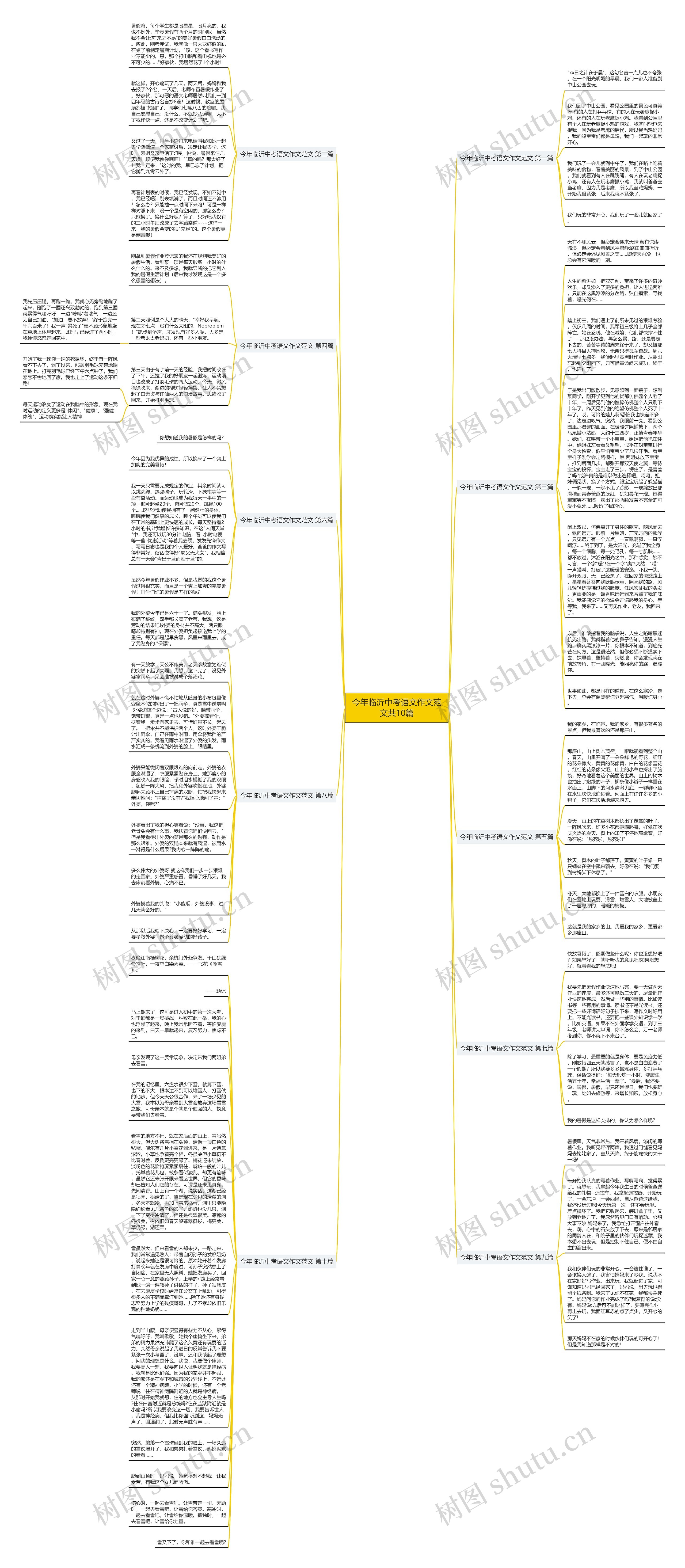 今年临沂中考语文作文范文共10篇思维导图