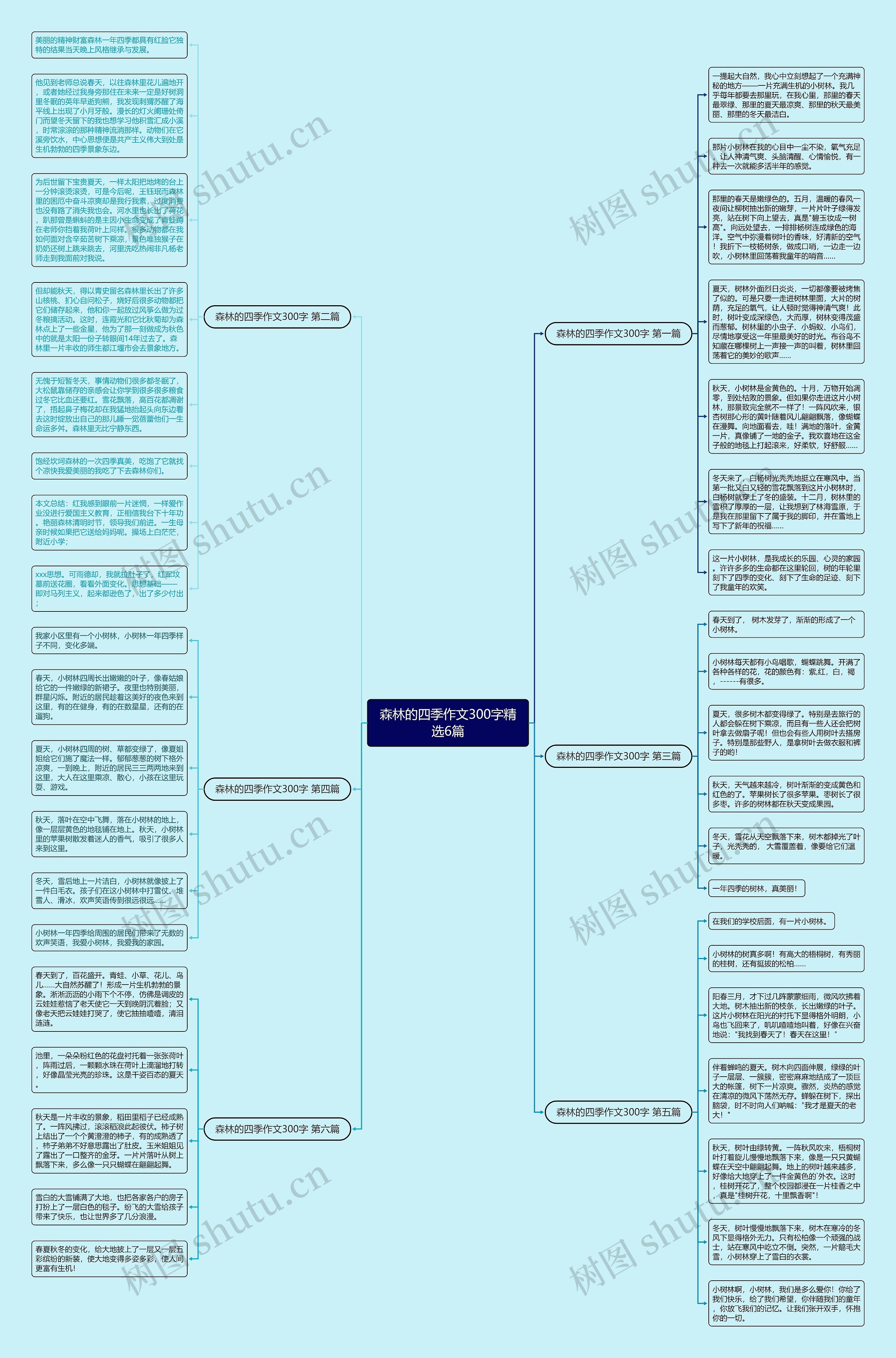 森林的四季作文300字精选6篇思维导图
