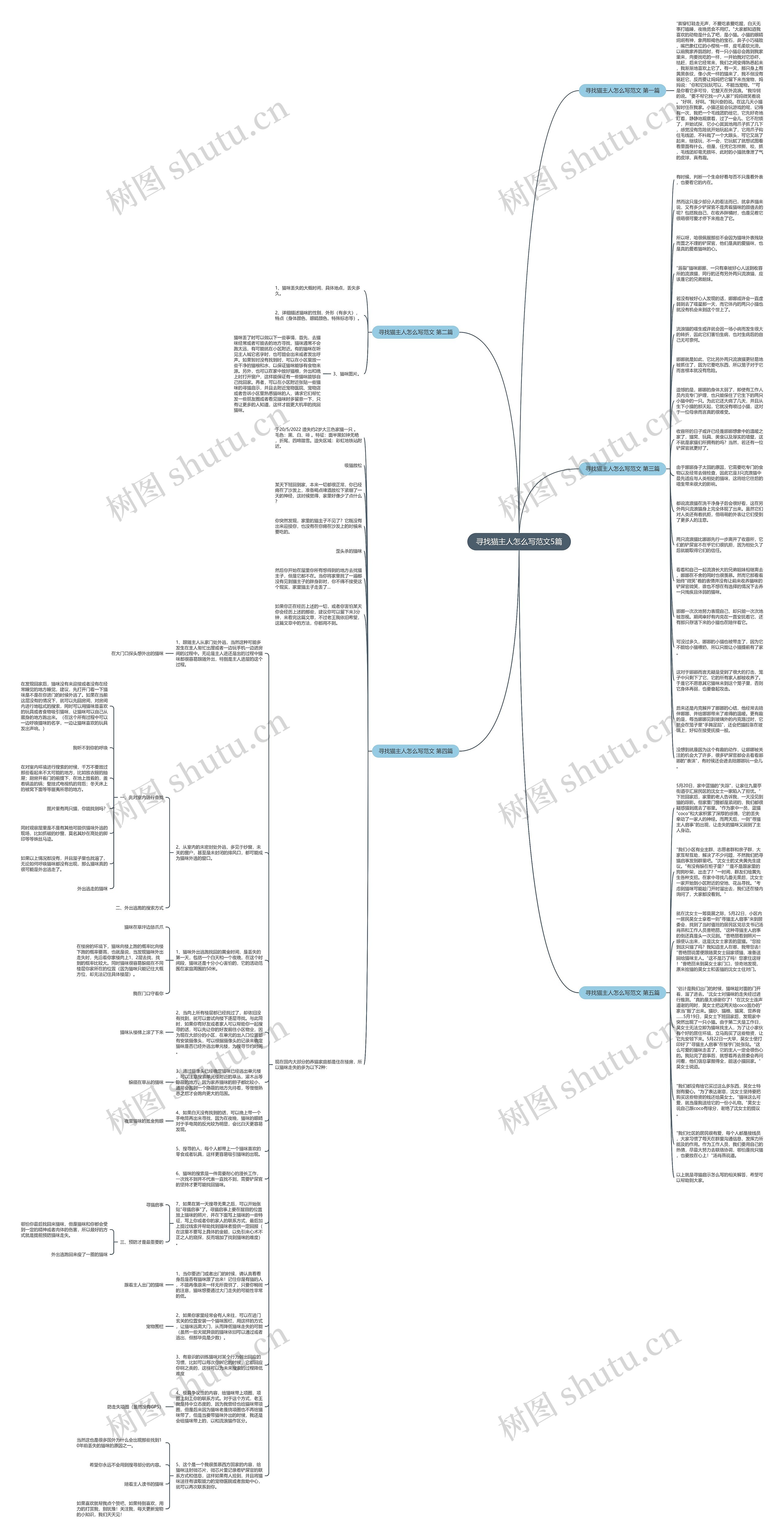 寻找猫主人怎么写范文5篇思维导图